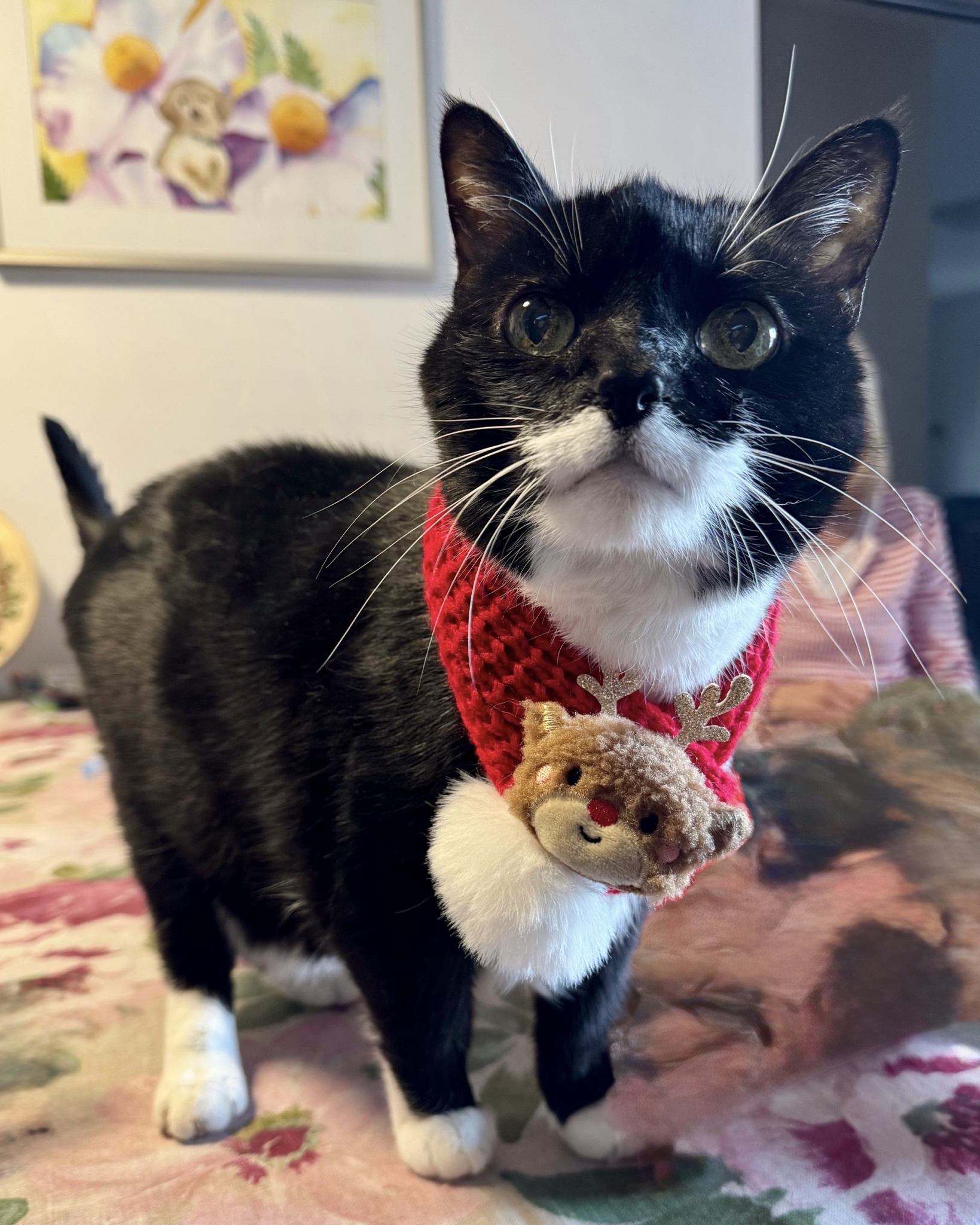 Sending Christmas Cheer from Me and My Crew!
