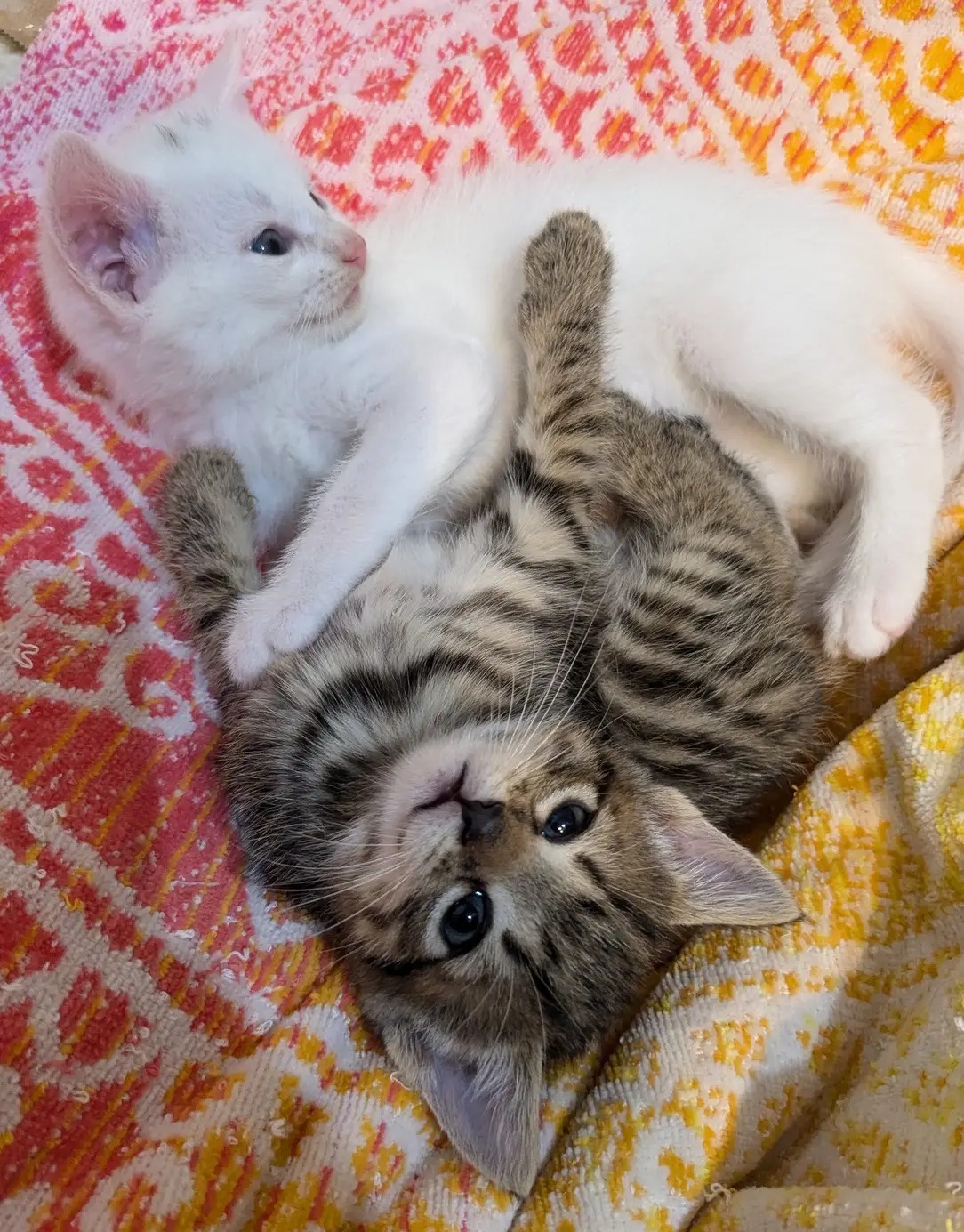 Unwinding After a Long Day of Sibling Shenanigans
