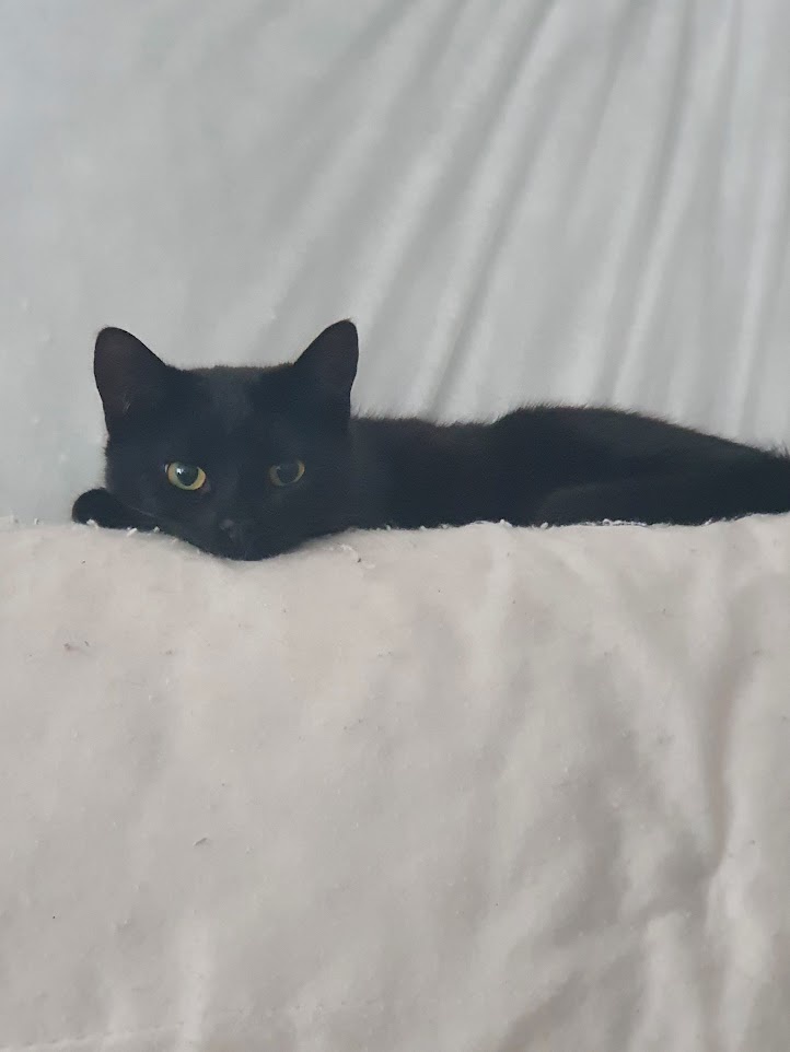 Adorable little cutie alert!