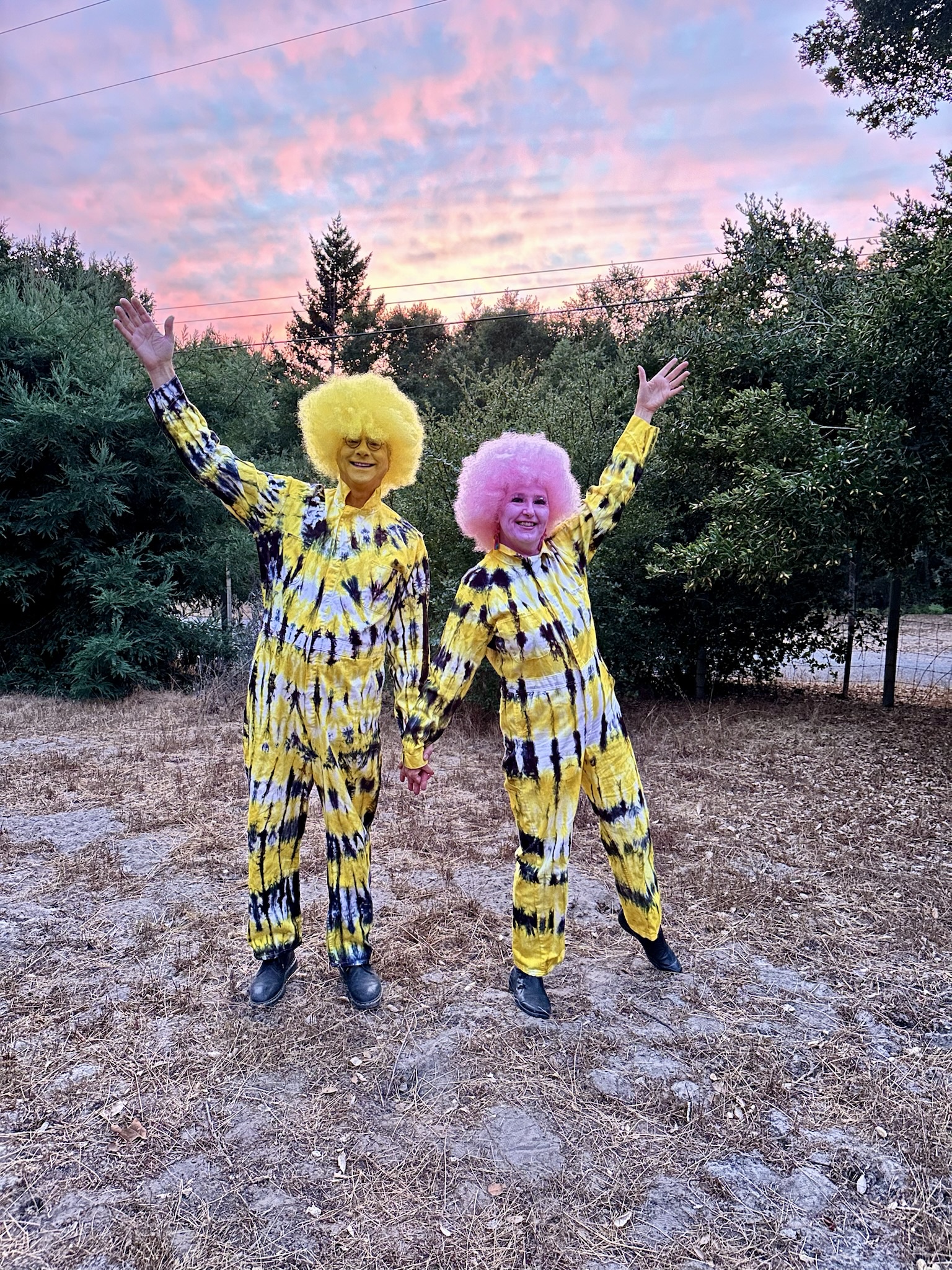 Two Silent Truffala Trees on a Quest for the Lorax