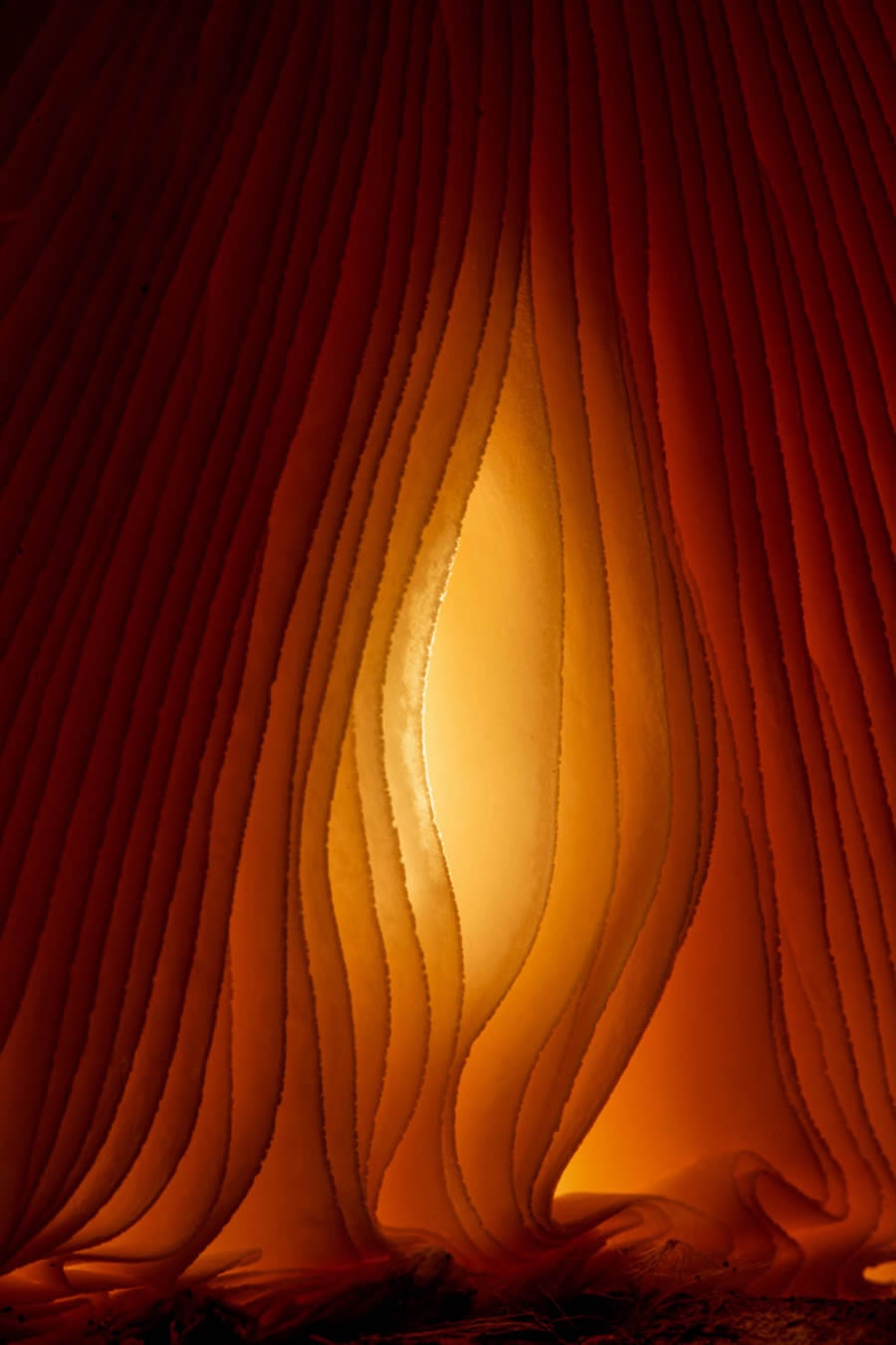The Mysterious Curtain