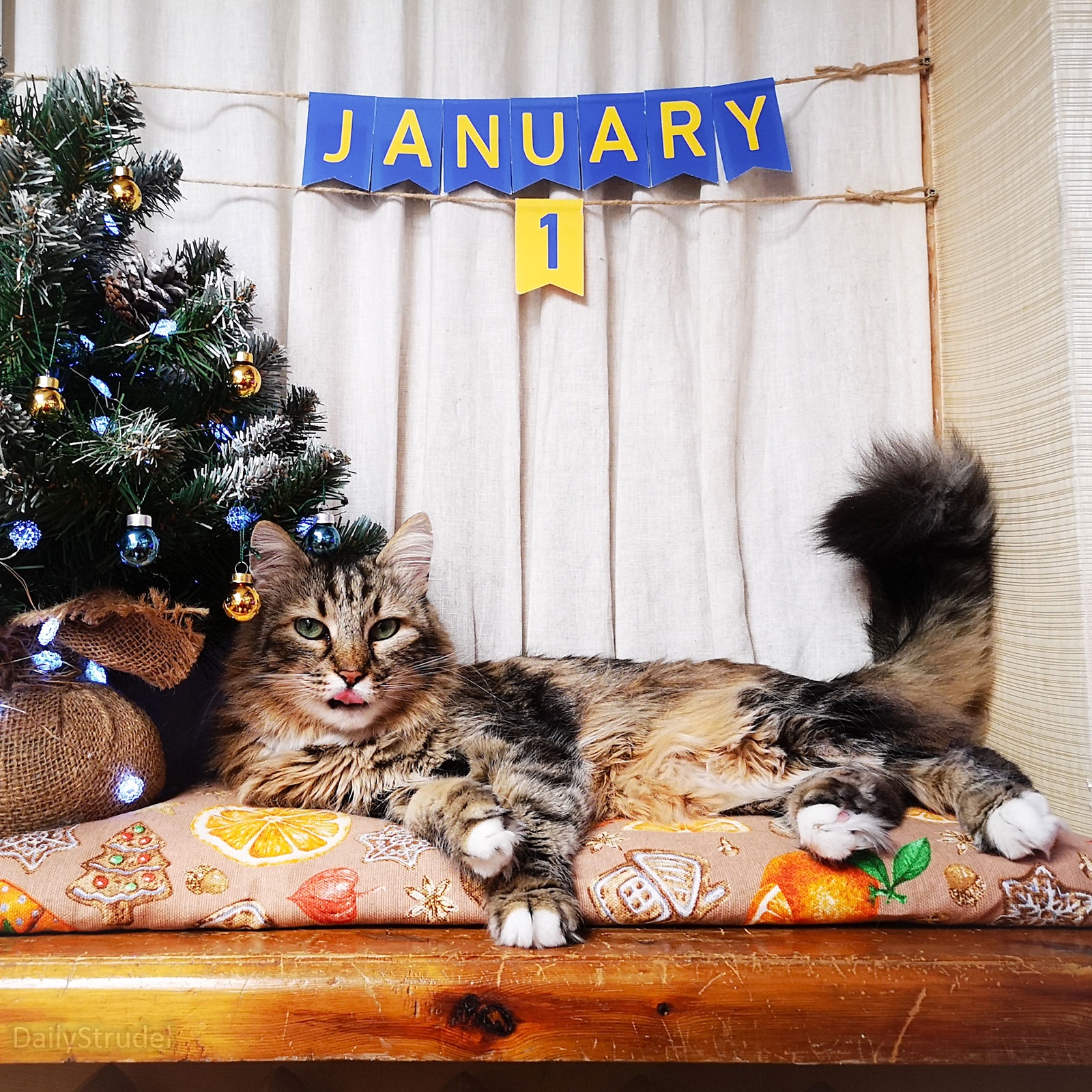 The Start of a New Year: January 1st Reflections
