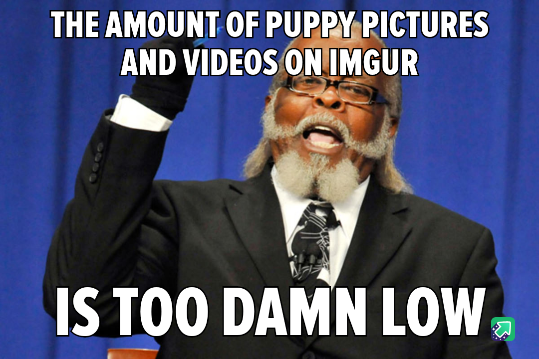 Time to Let the Dogs Out, Seriously!