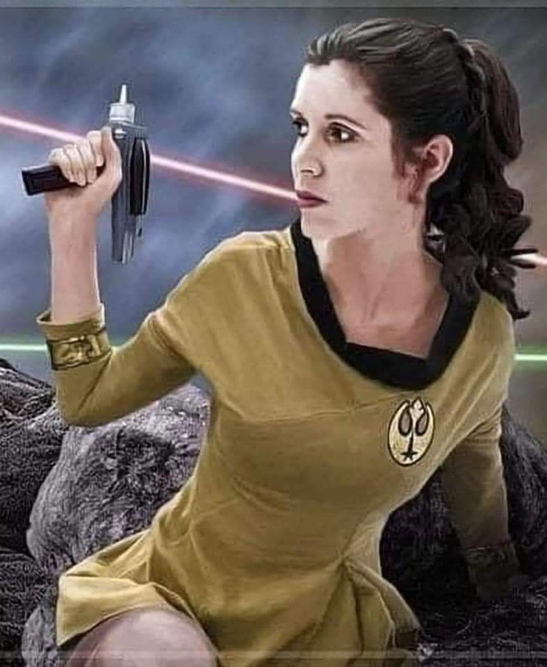 Introducing Captain Leia: The Galactic Leader We All Need