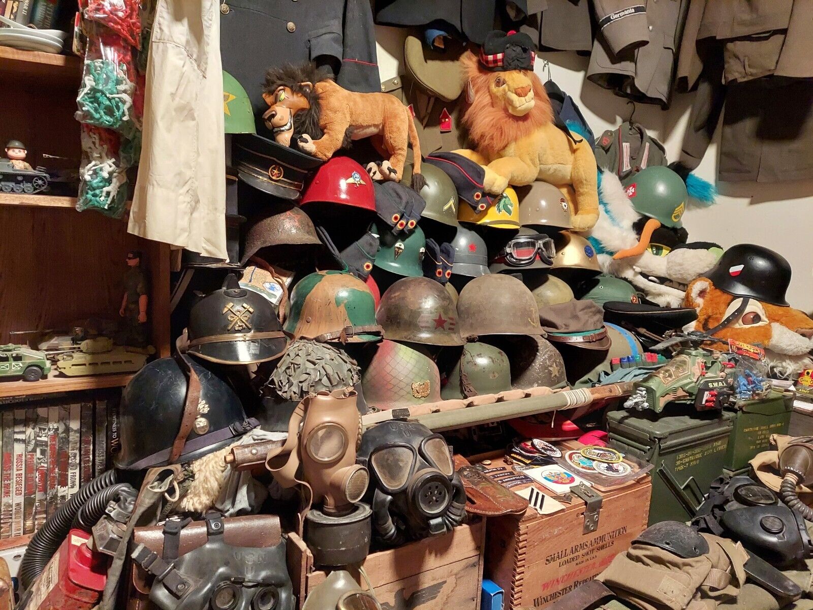 Step Inside the Museum of Wonders