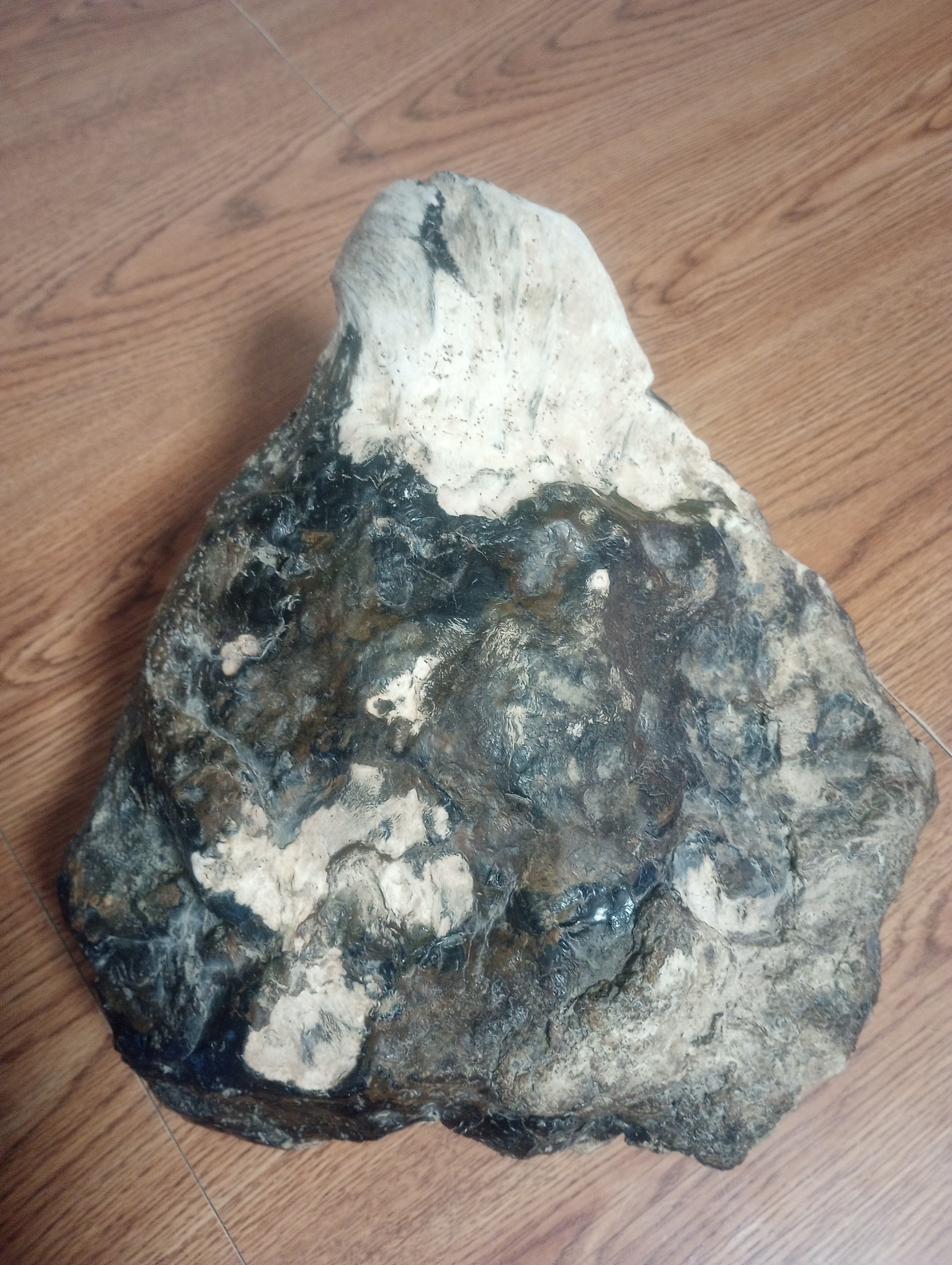 What Exactly is a Stromatolite?