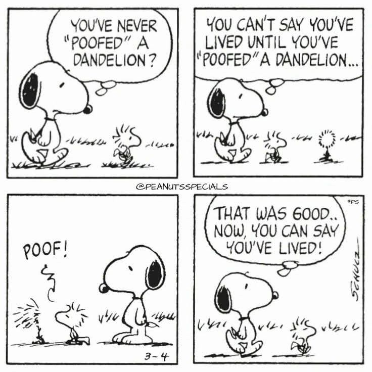 A Daily Dose of Nostalgia: My Favorite Peanuts Moments