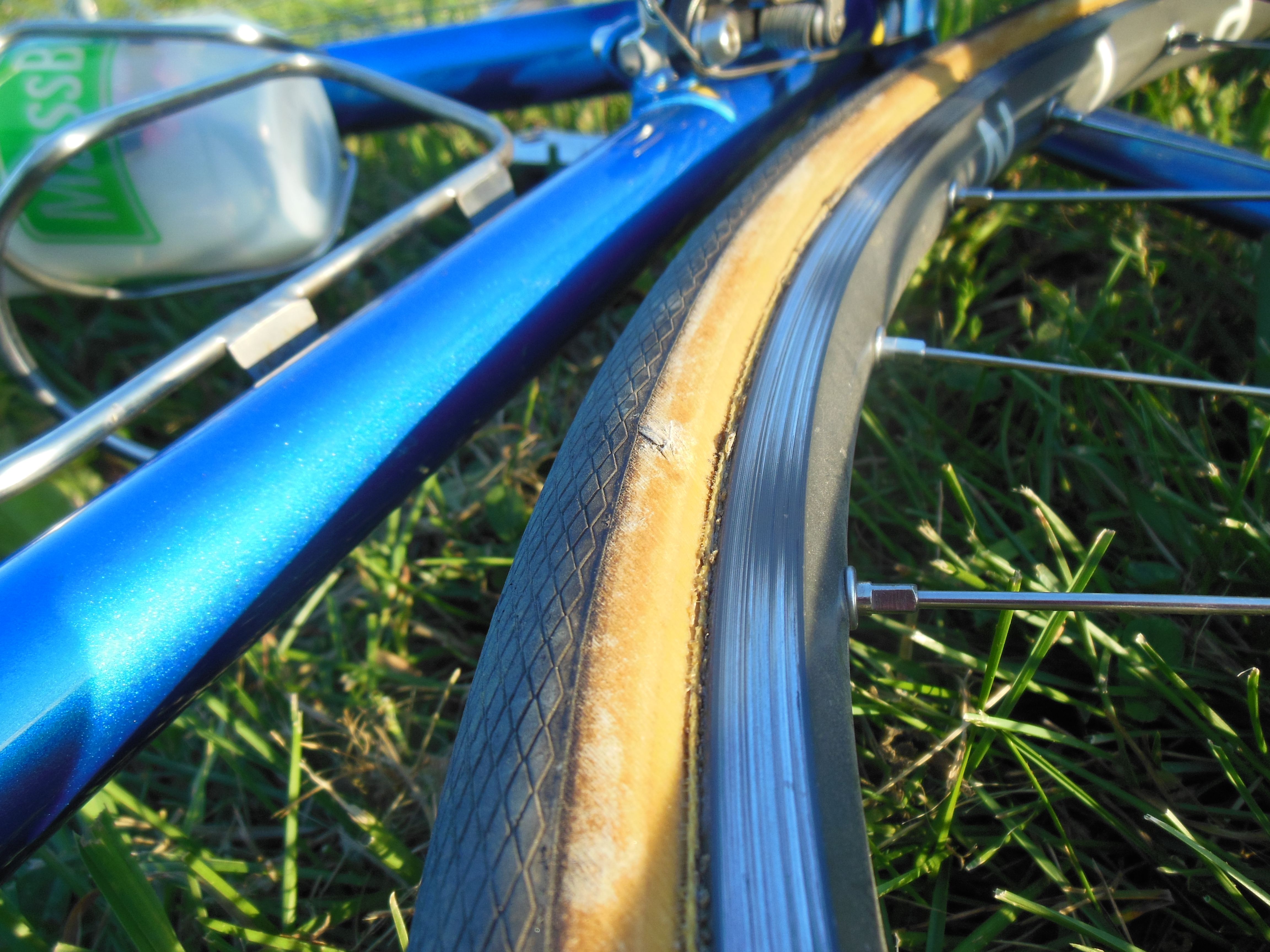 All About Schwalbe Gear