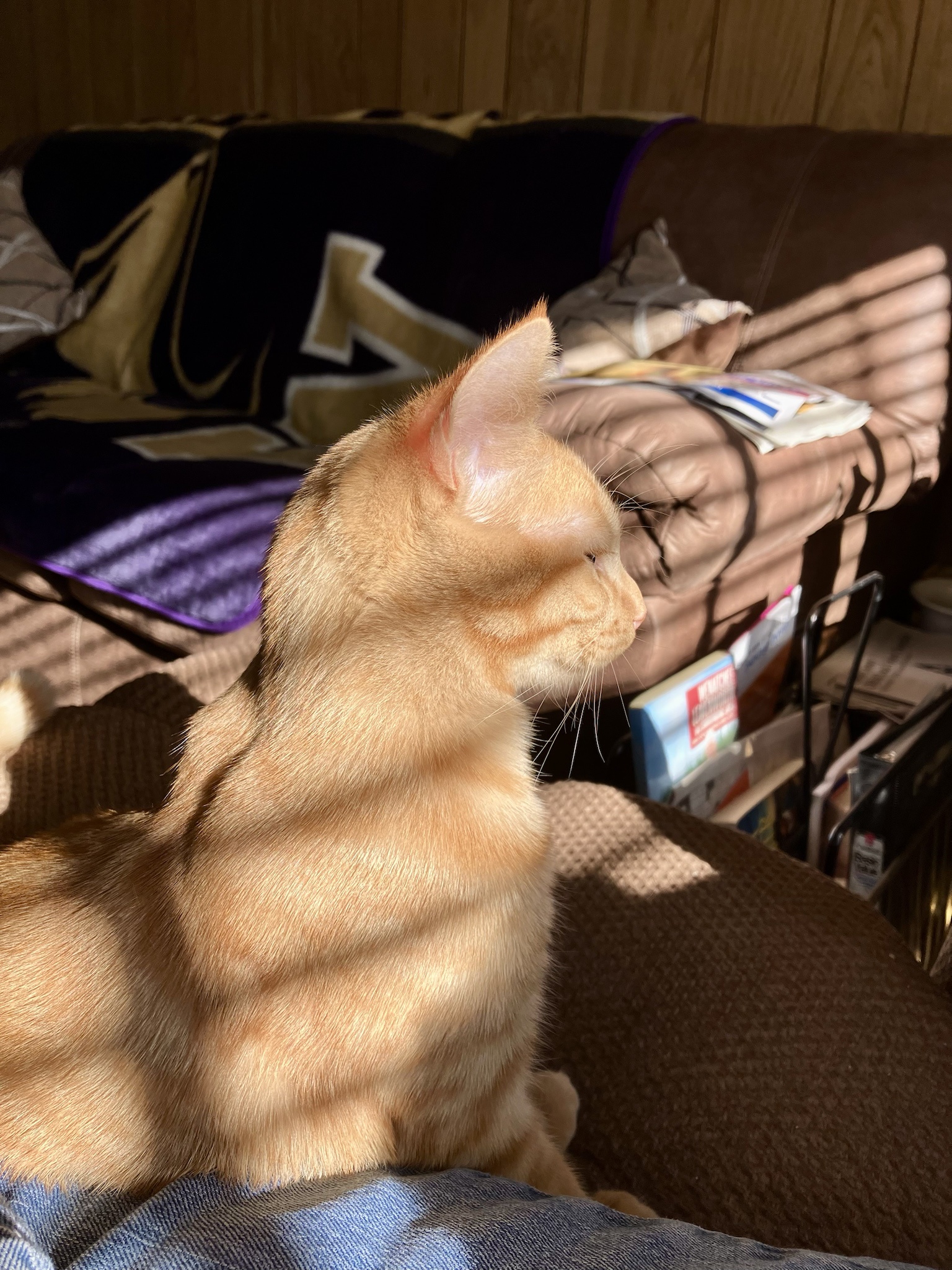 Aubrey's Pic Dump: Bonus Value Edition!