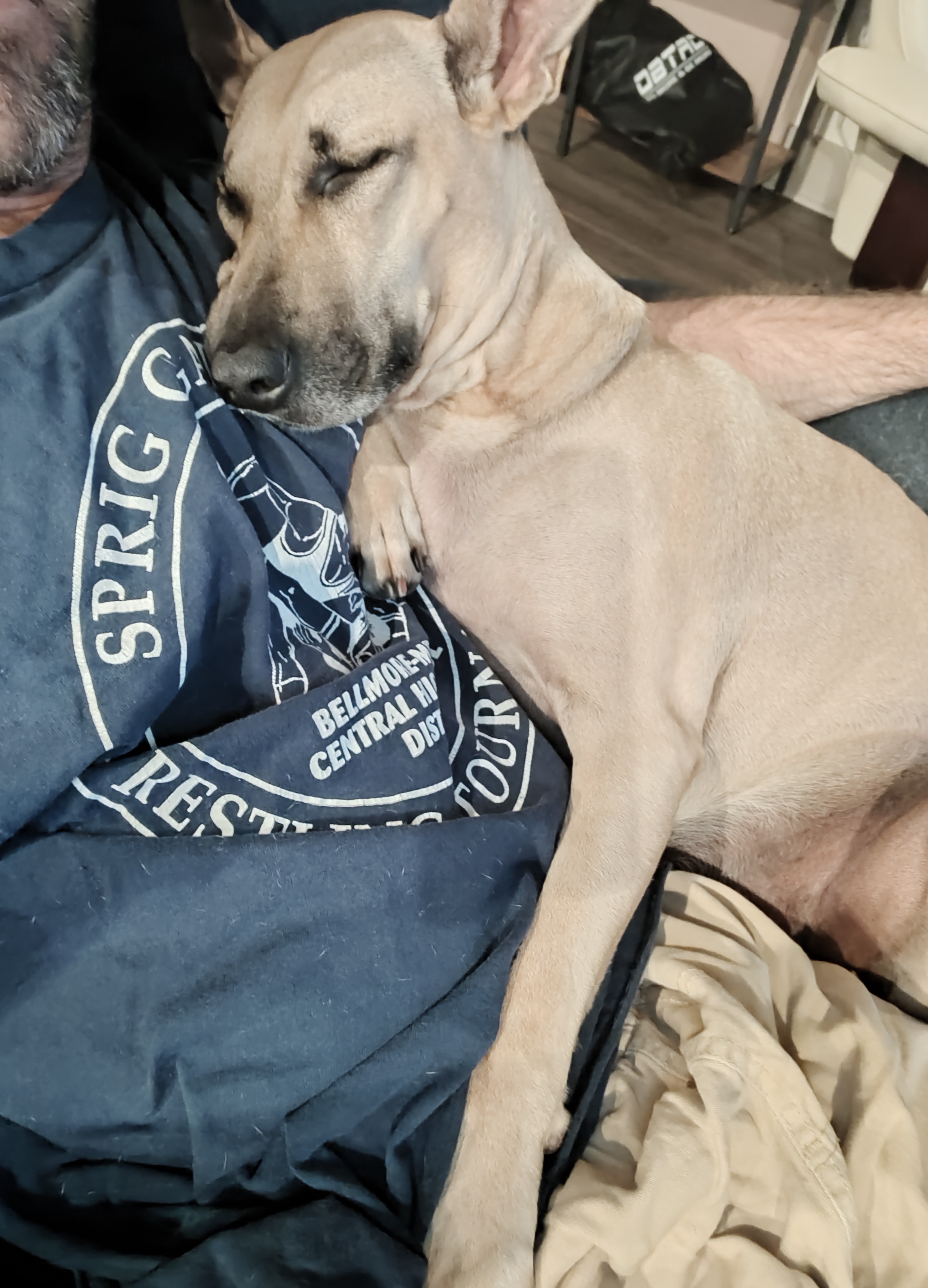 Maggie Keeping Her Cool While I Lose It on Election Night