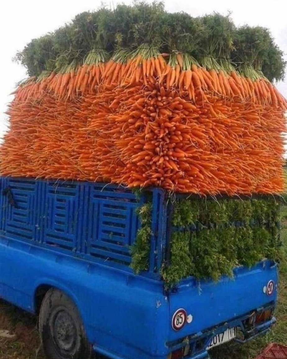 The humble carrot: a crunchy delight!