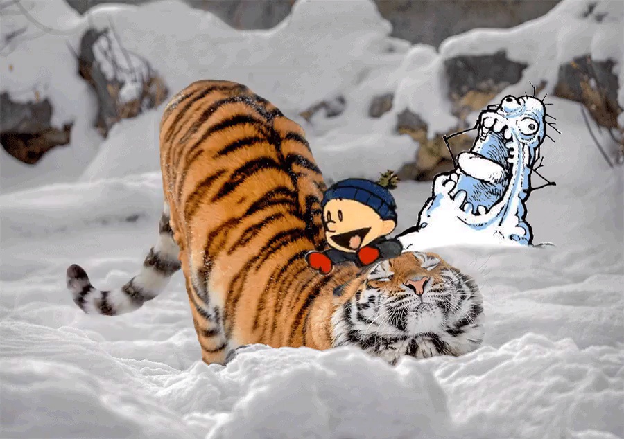 The timeless adventures of Calvin and Hobbes