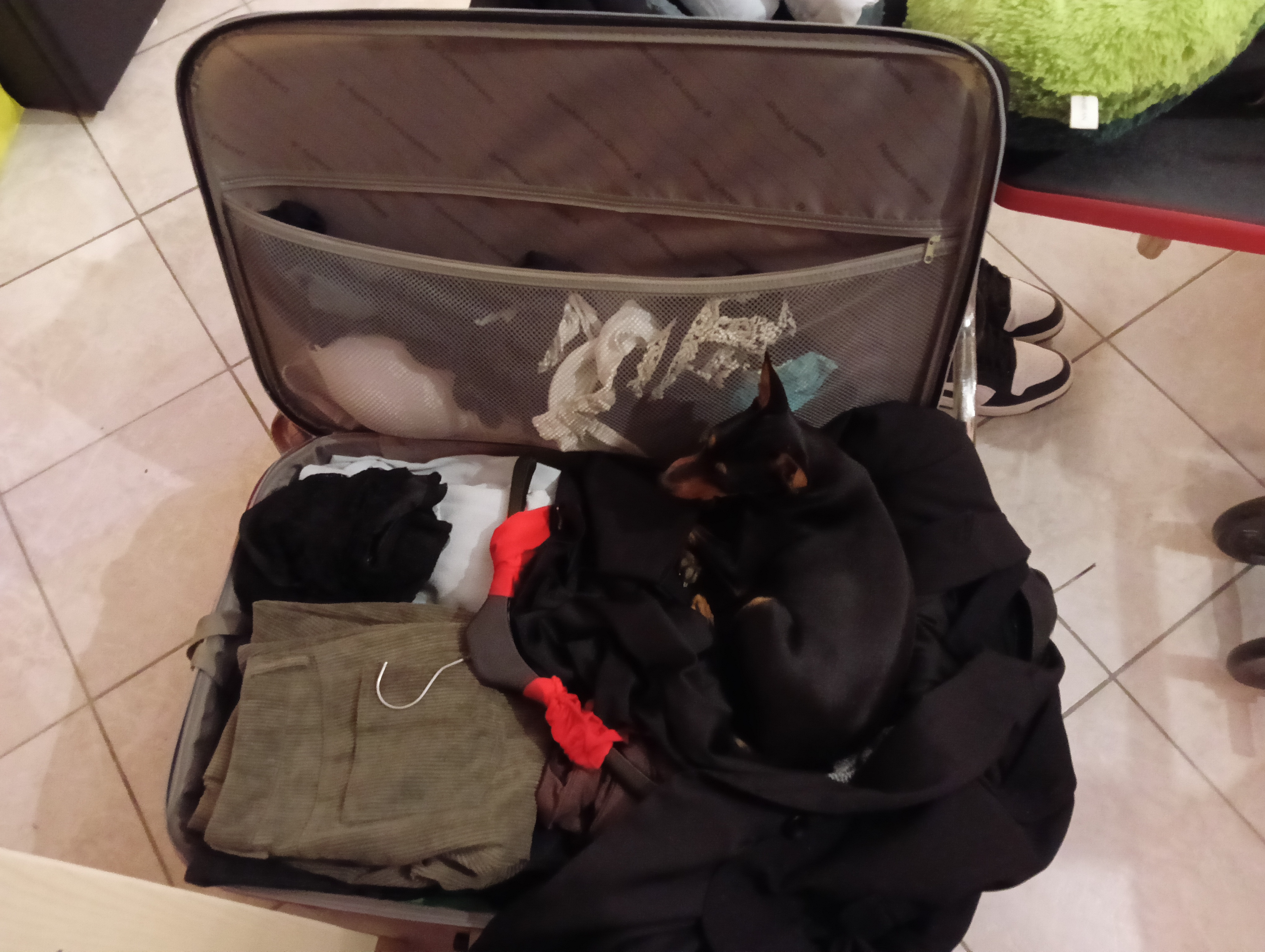 Unexpected Find: What I Discovered in My Suitcase