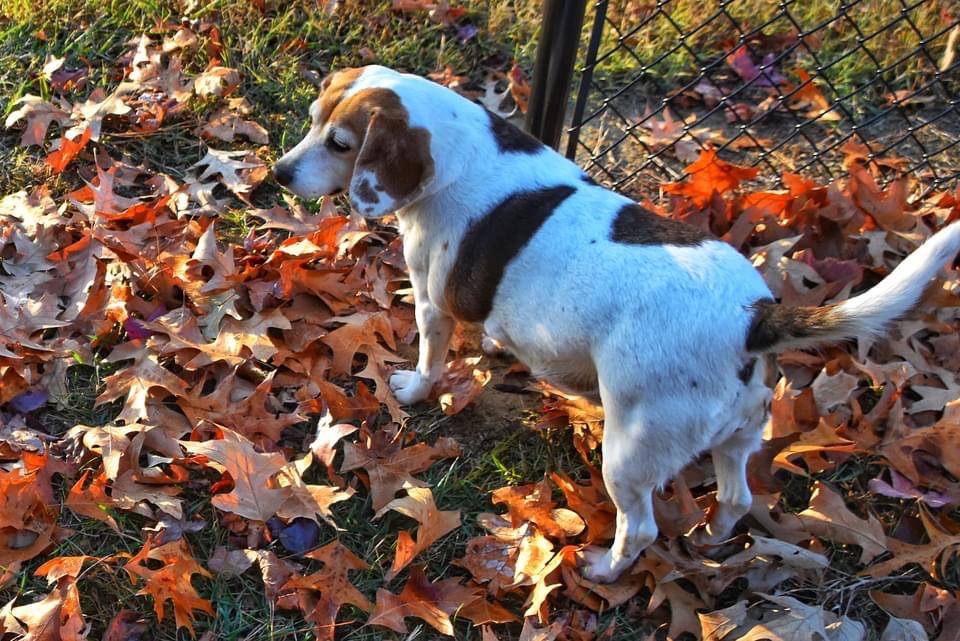 Introducing Luna: A Character to Remember