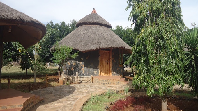 Discovering the Best Hotels in Arba Minch