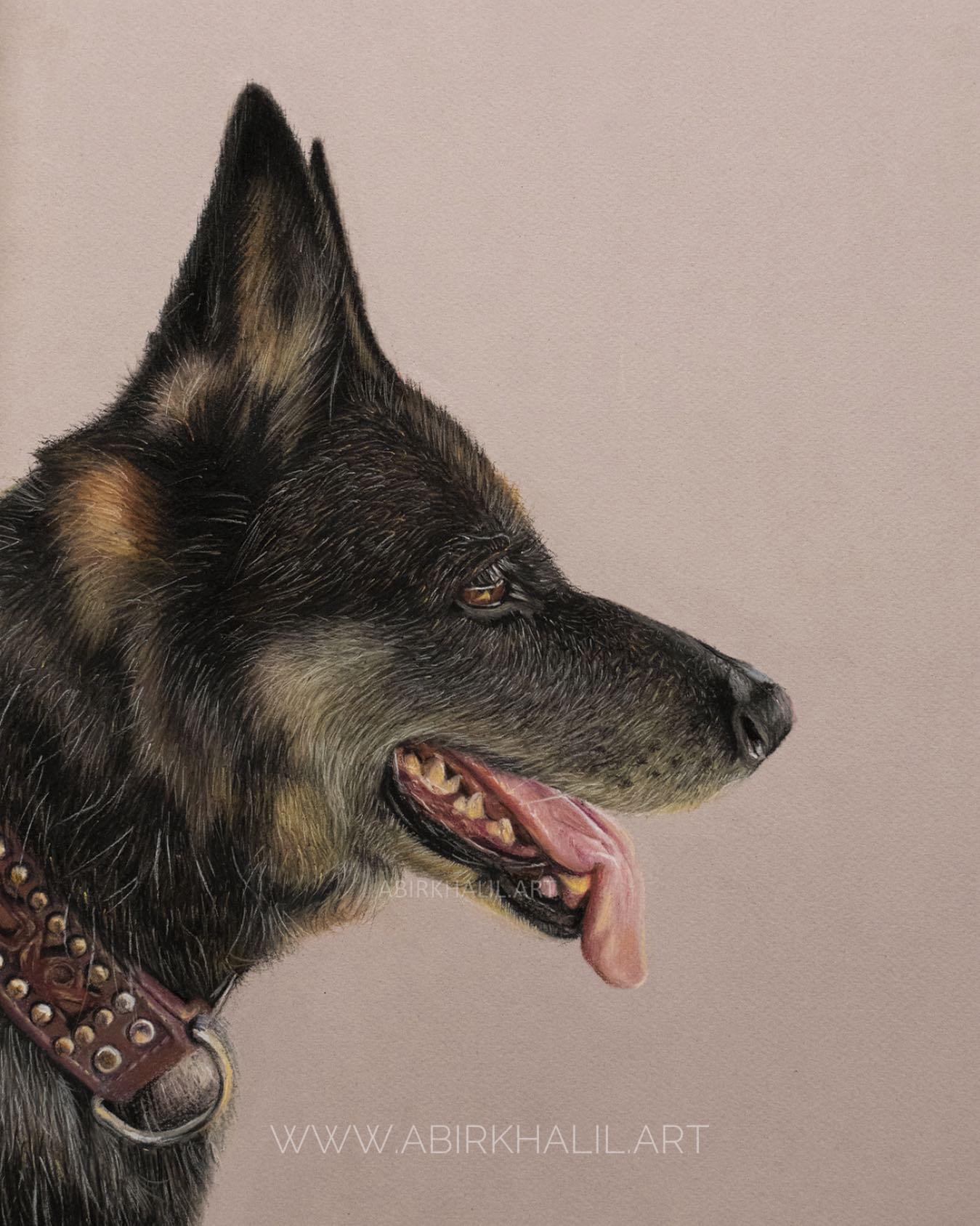 Check out my very first pet portrait drawing!