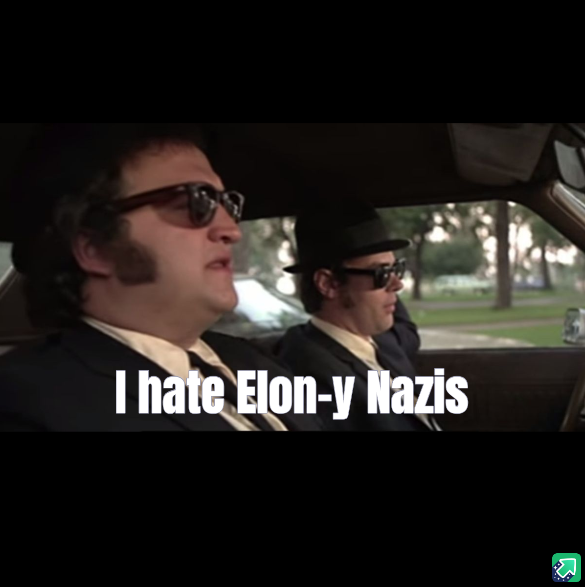 My Strong Dislike for Elon and His Followers