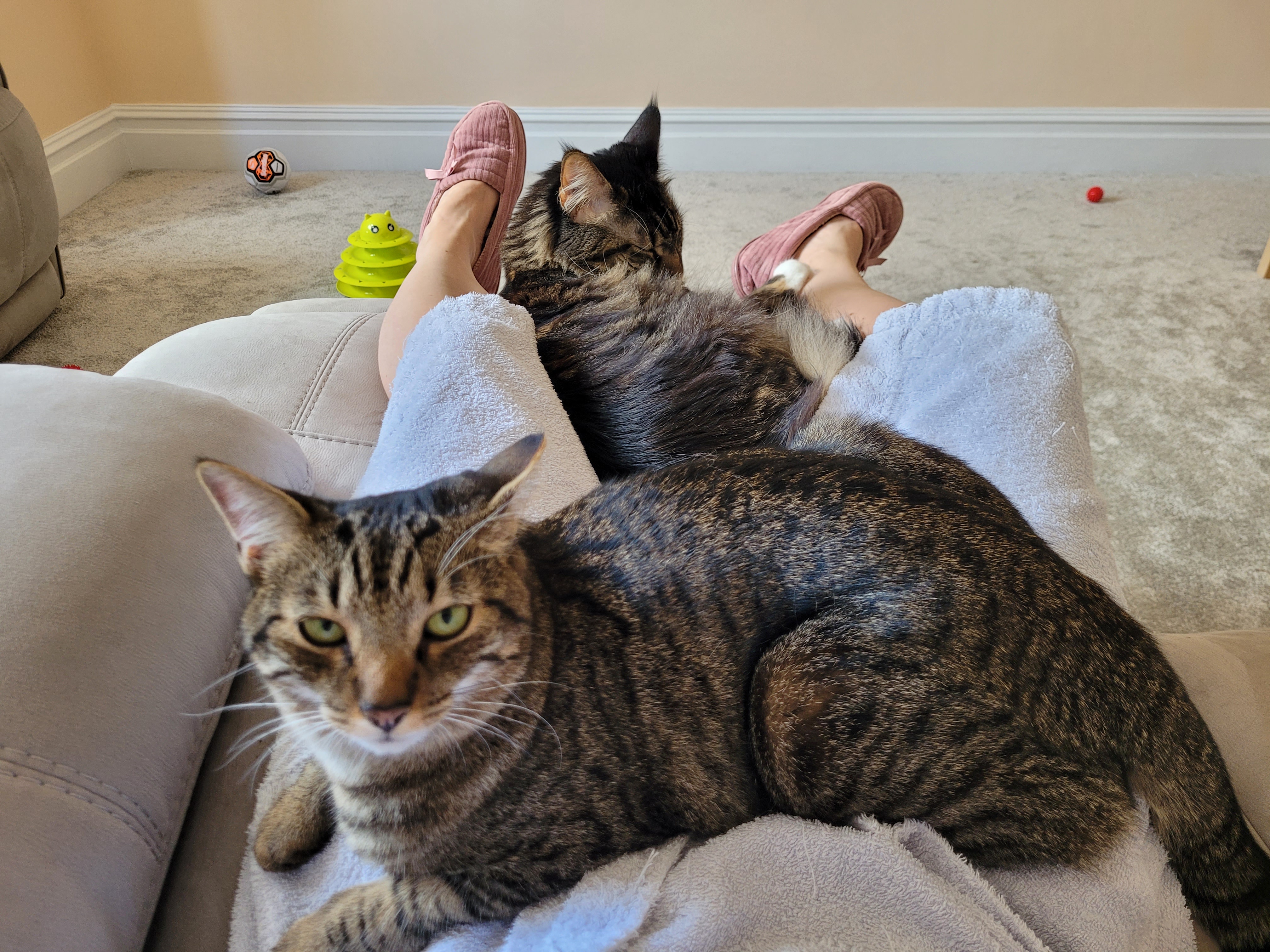 Cozy Post-Holiday Cuddles