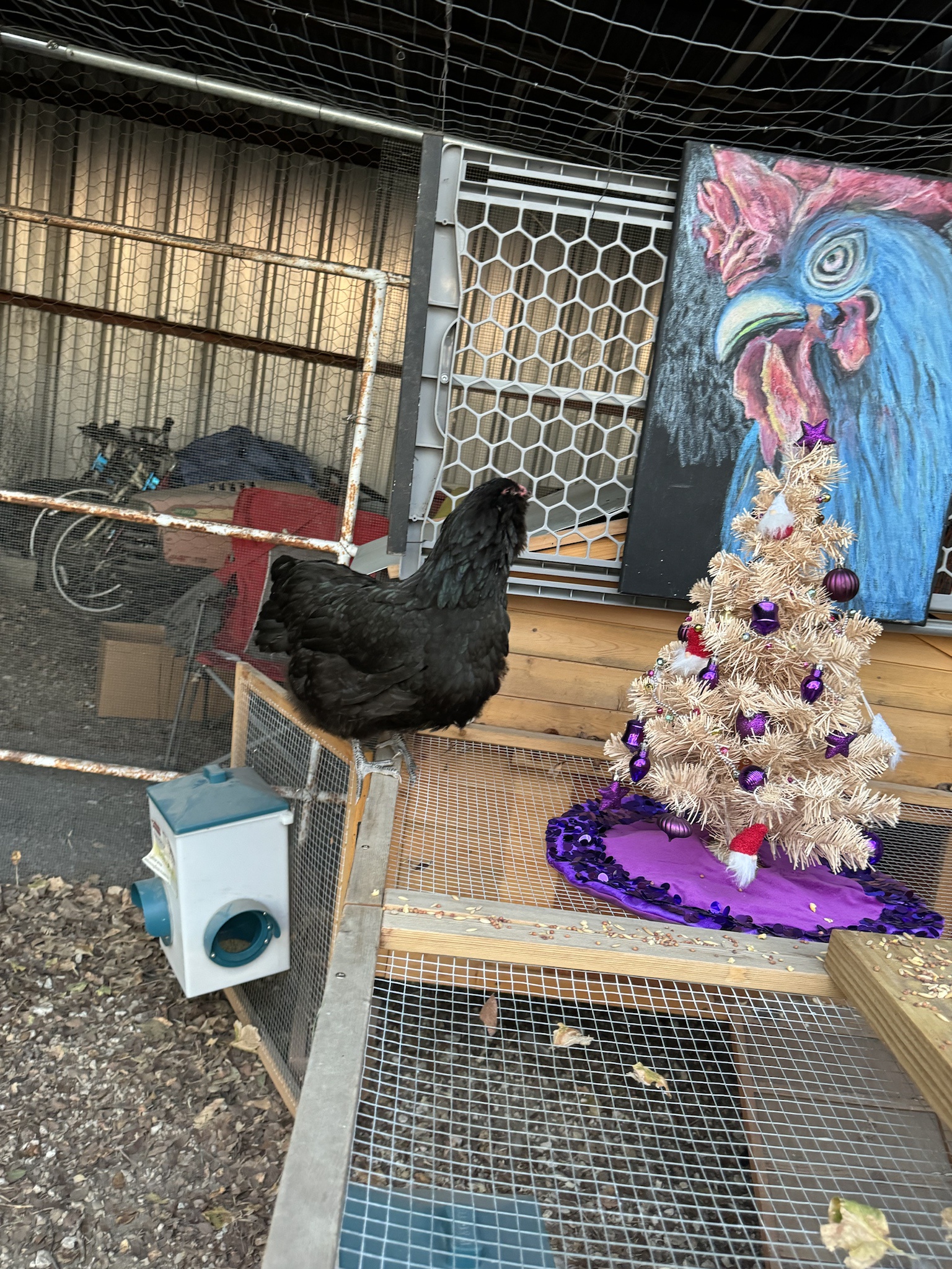 Clucking Around the Christmas Tree