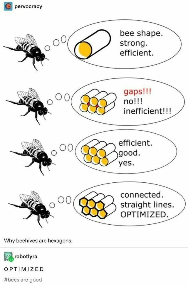 The Mystery Behind Beehive Hexagons