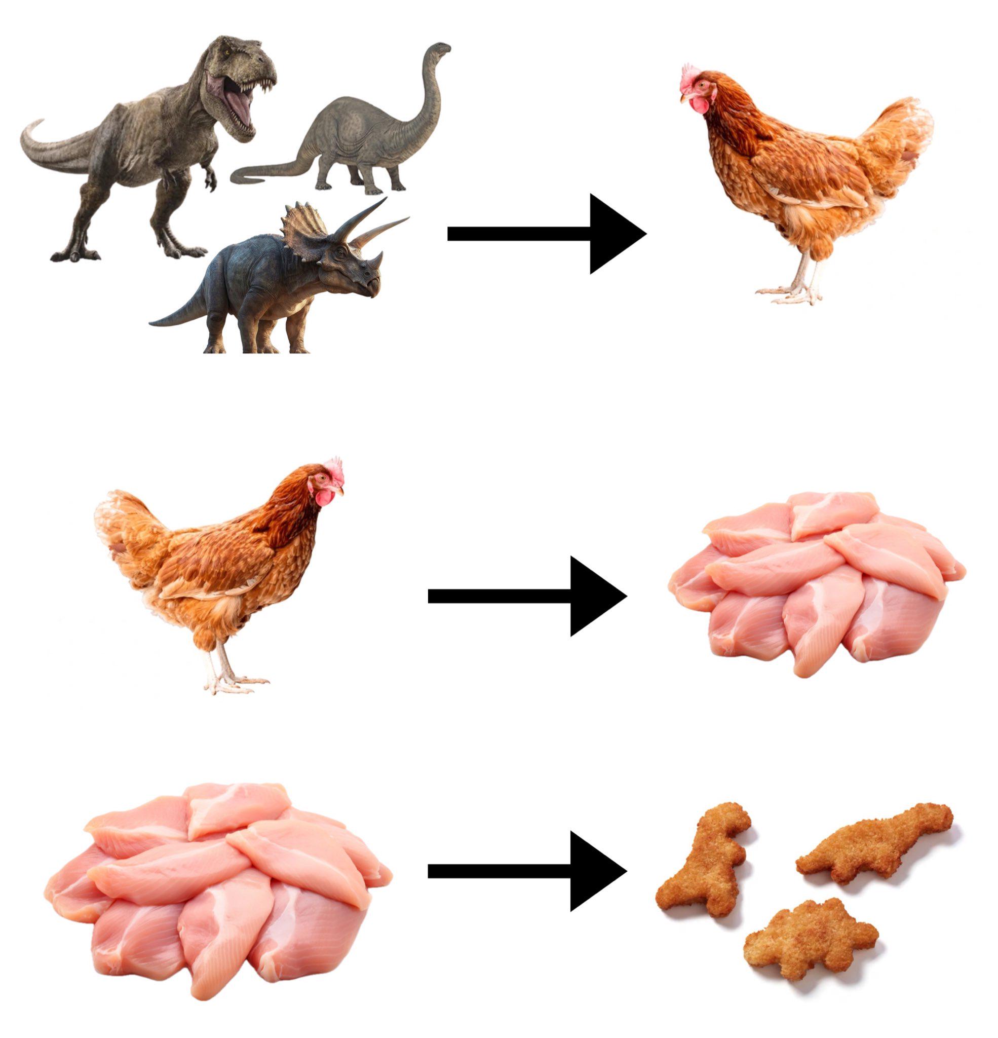 Delicious Dino Nuggets: A Tasty Treat!