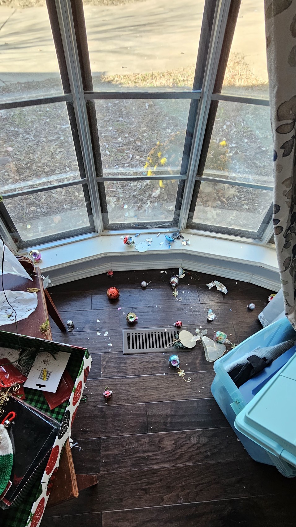 Now It Truly Feels Like Christmas—Kitties Are Unleashing Holiday Mischief!