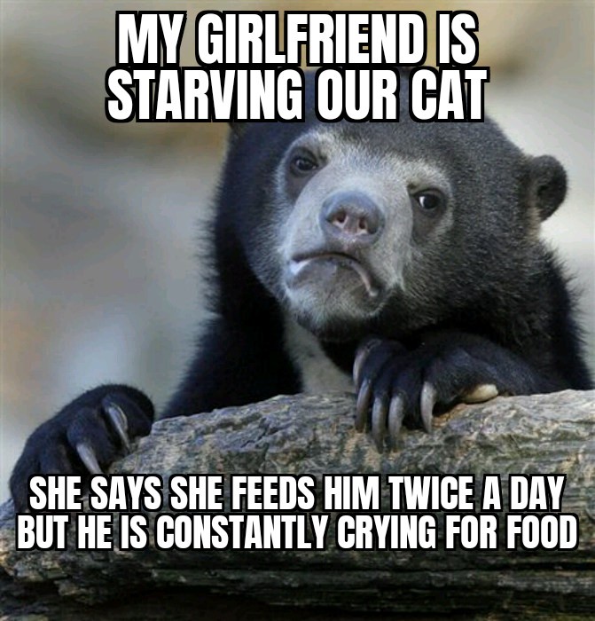 Oh no, poor kitty is having a rough time.