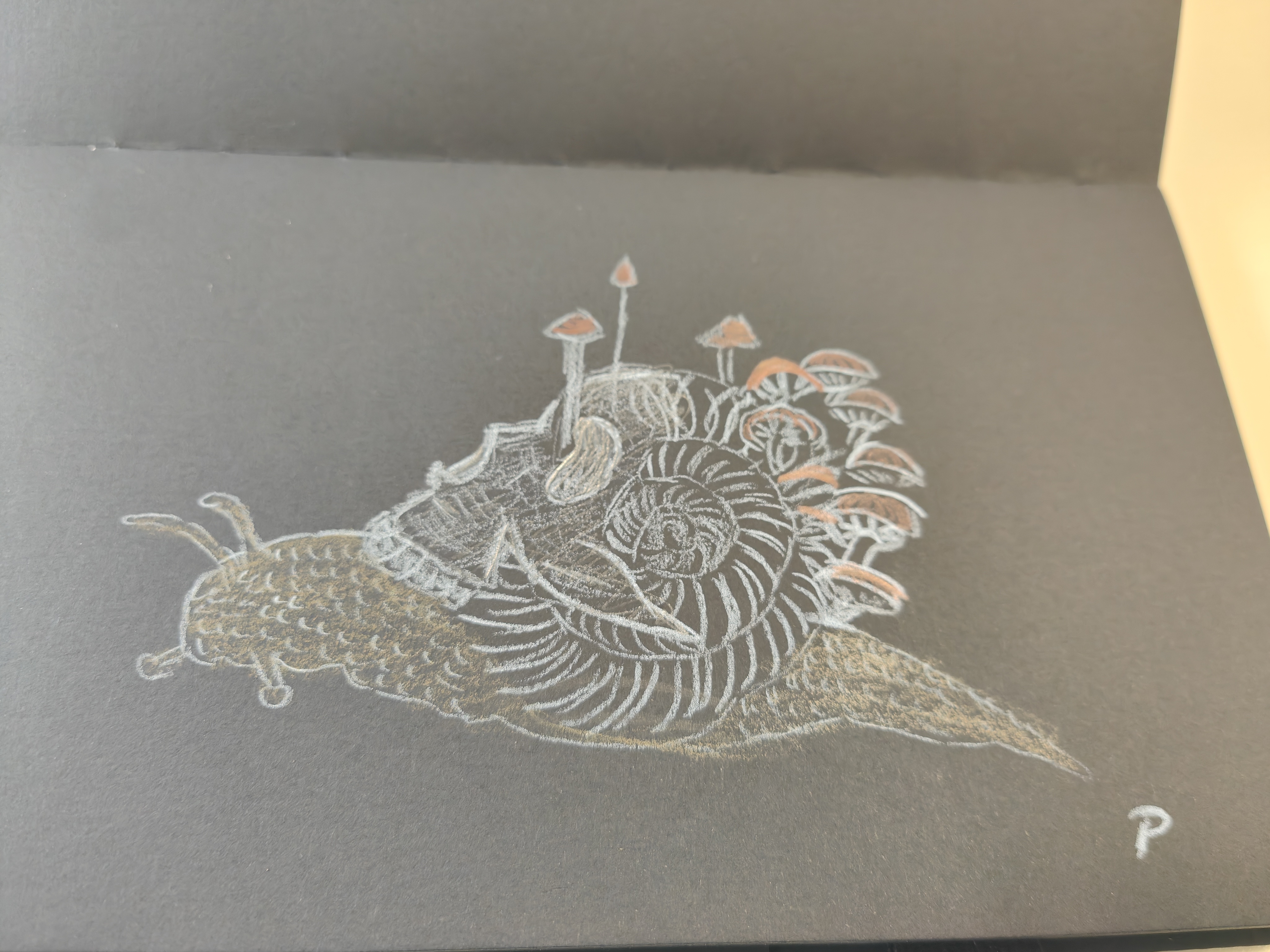 The Slow and Steady Snail