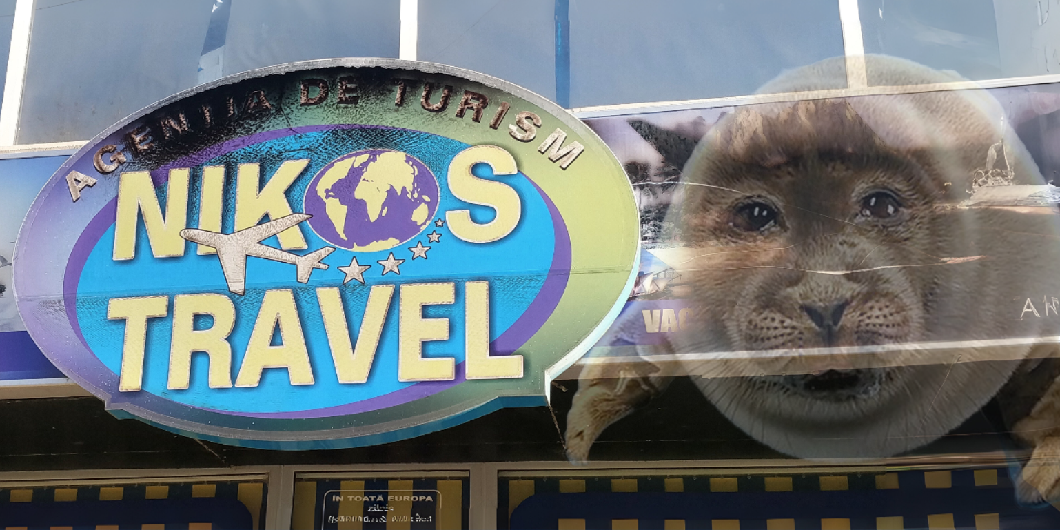 You Won't Believe What Niko Just Launched: A New Business!