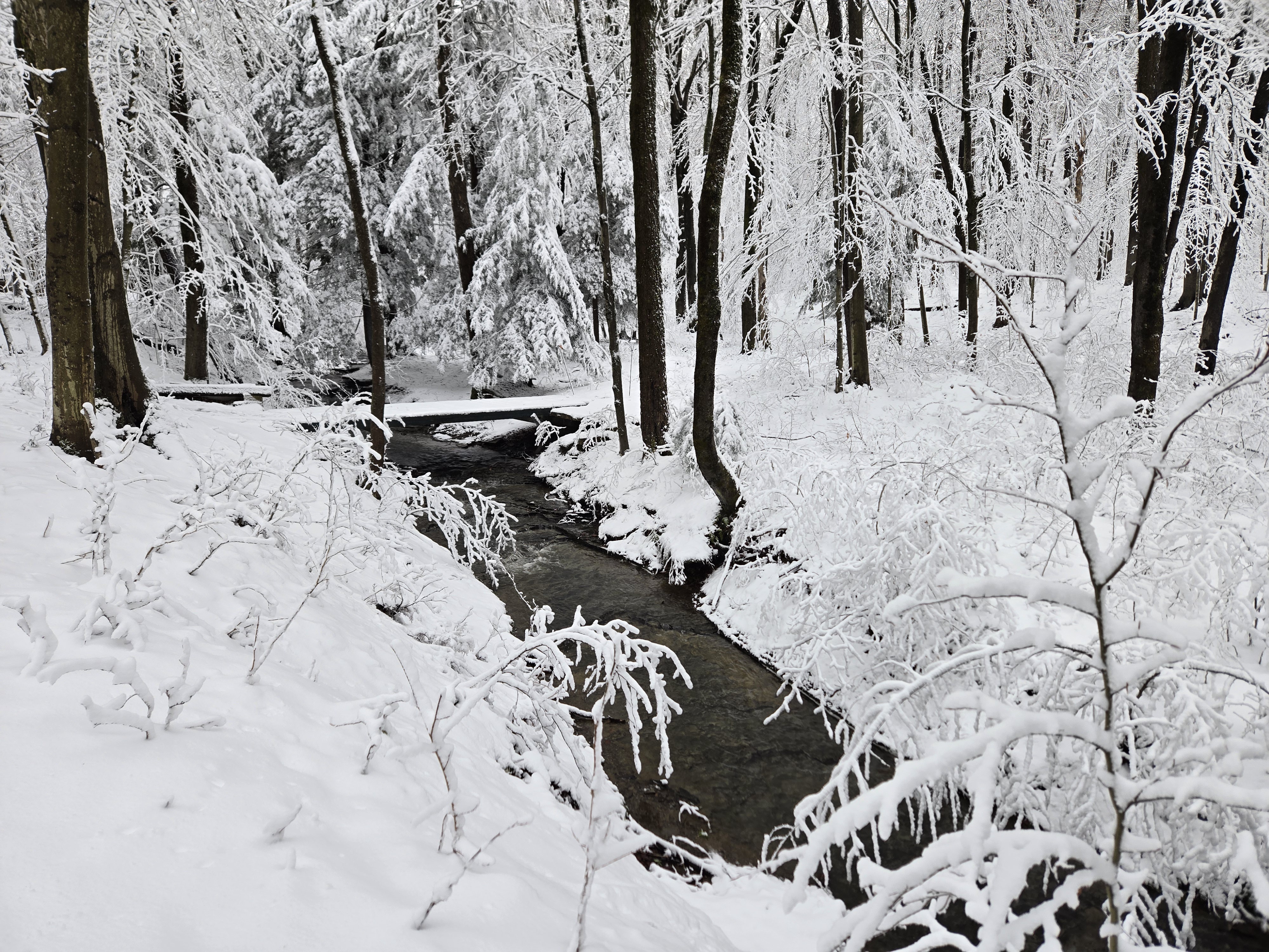 Exploring the Winter Wonderland of Colden, NY in 2025
