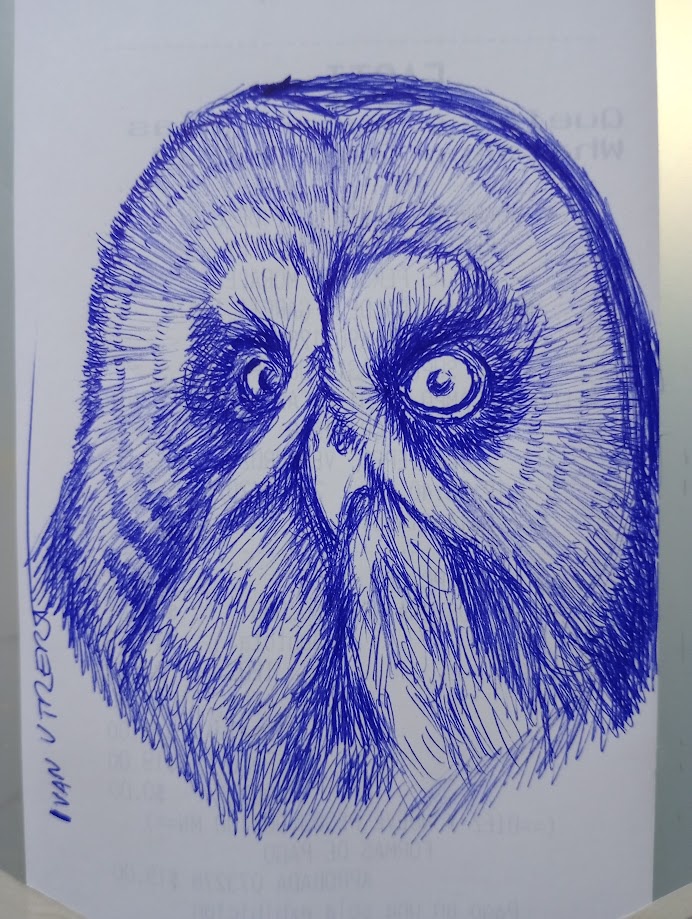 The wise and whimsical owl
