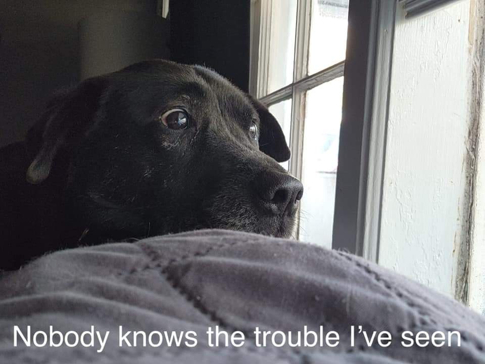 What a good boy!