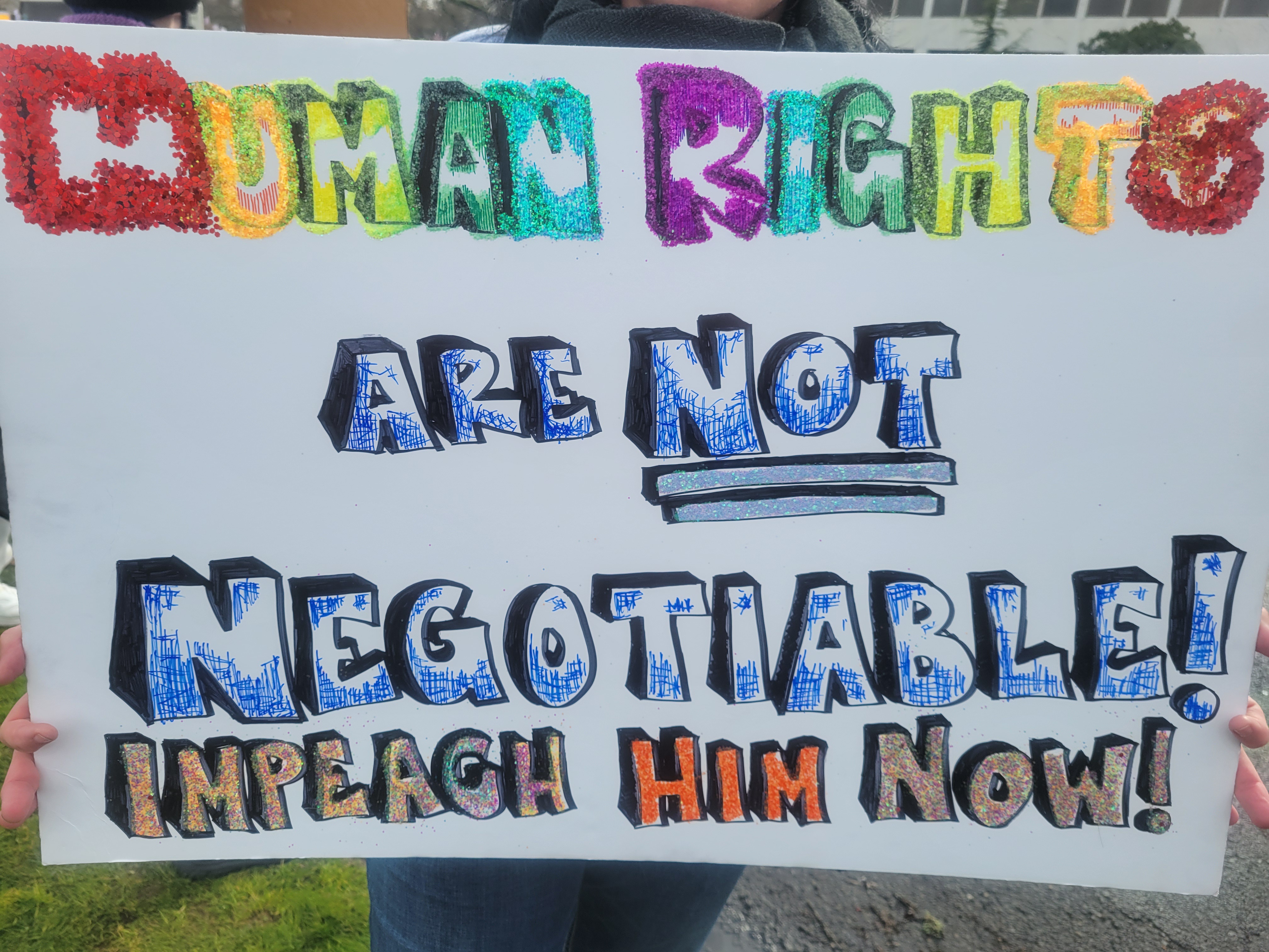 Protest Signs from the 50/50/1 Movement in Salem, Oregon: Part 2