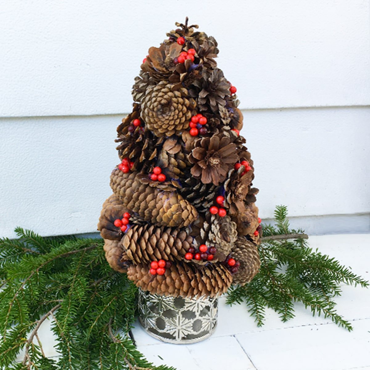 What Type of Tree Are We Looking At?