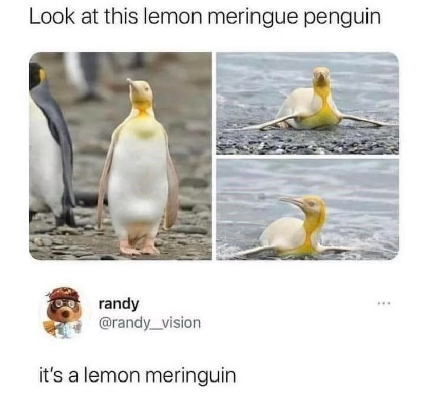 Meet the Meringuin!