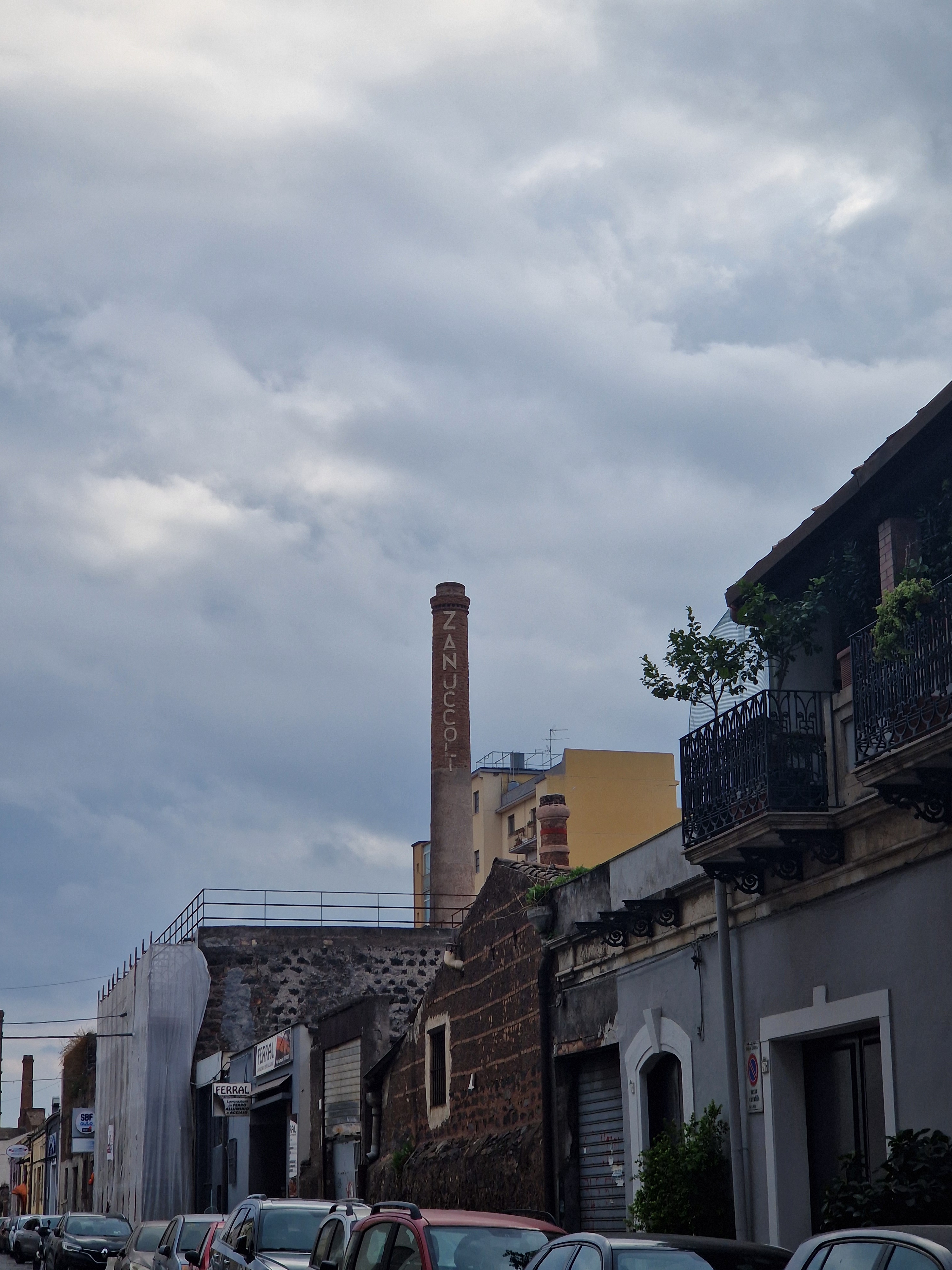 The Zany World of Zanuccoli