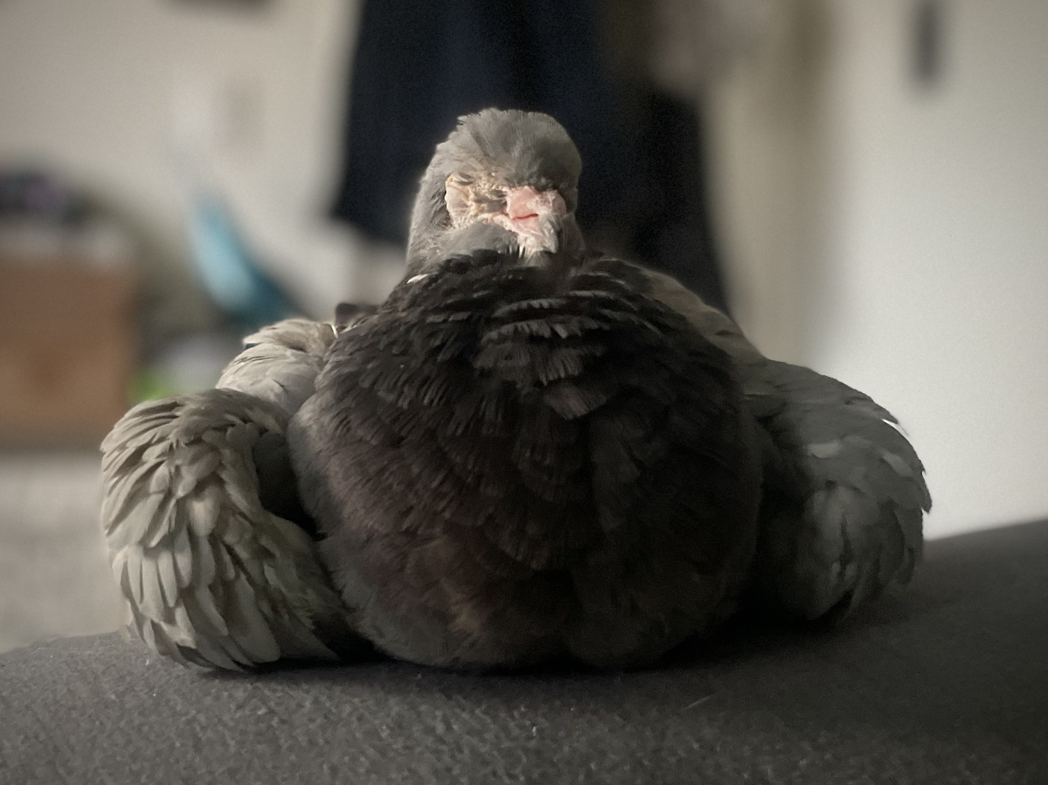 Behold the Perfect Male Physique