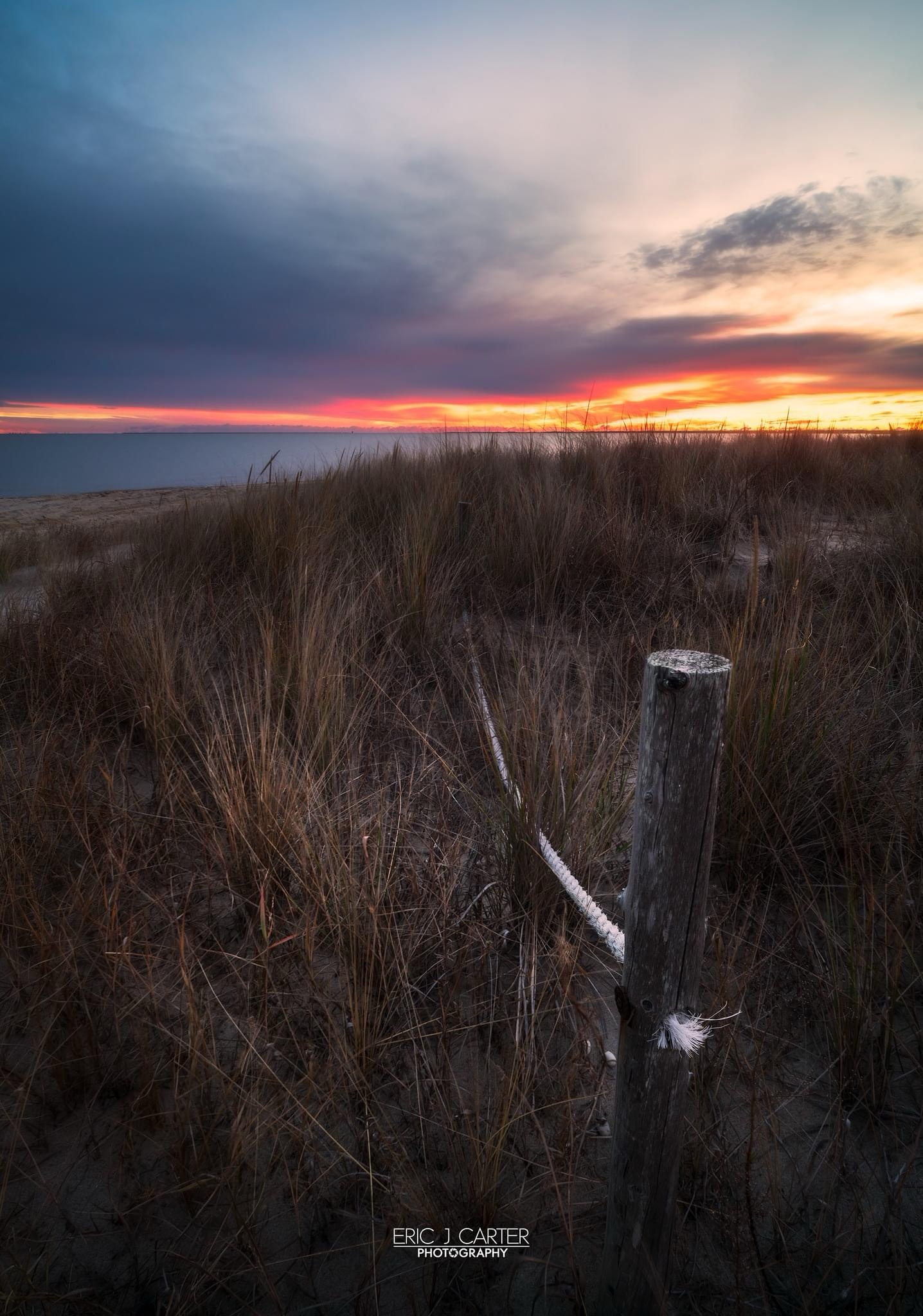 The Beauty of a New Day: Sunrise Moments