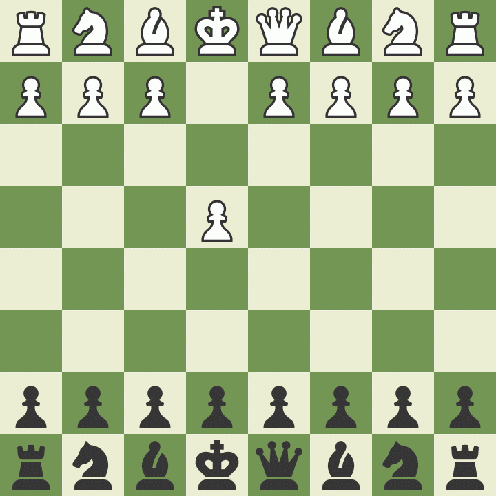 The Intriguing World of Chess