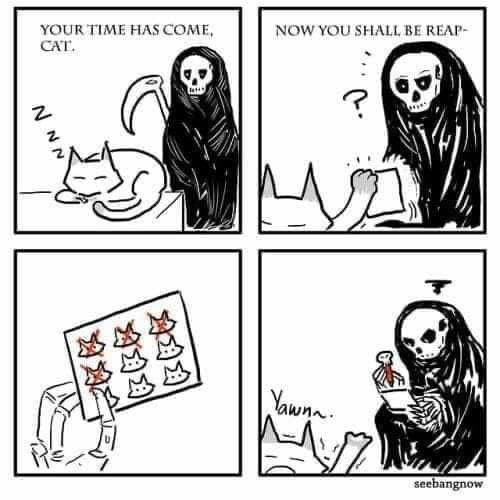 The Grim Presence of The Reaper