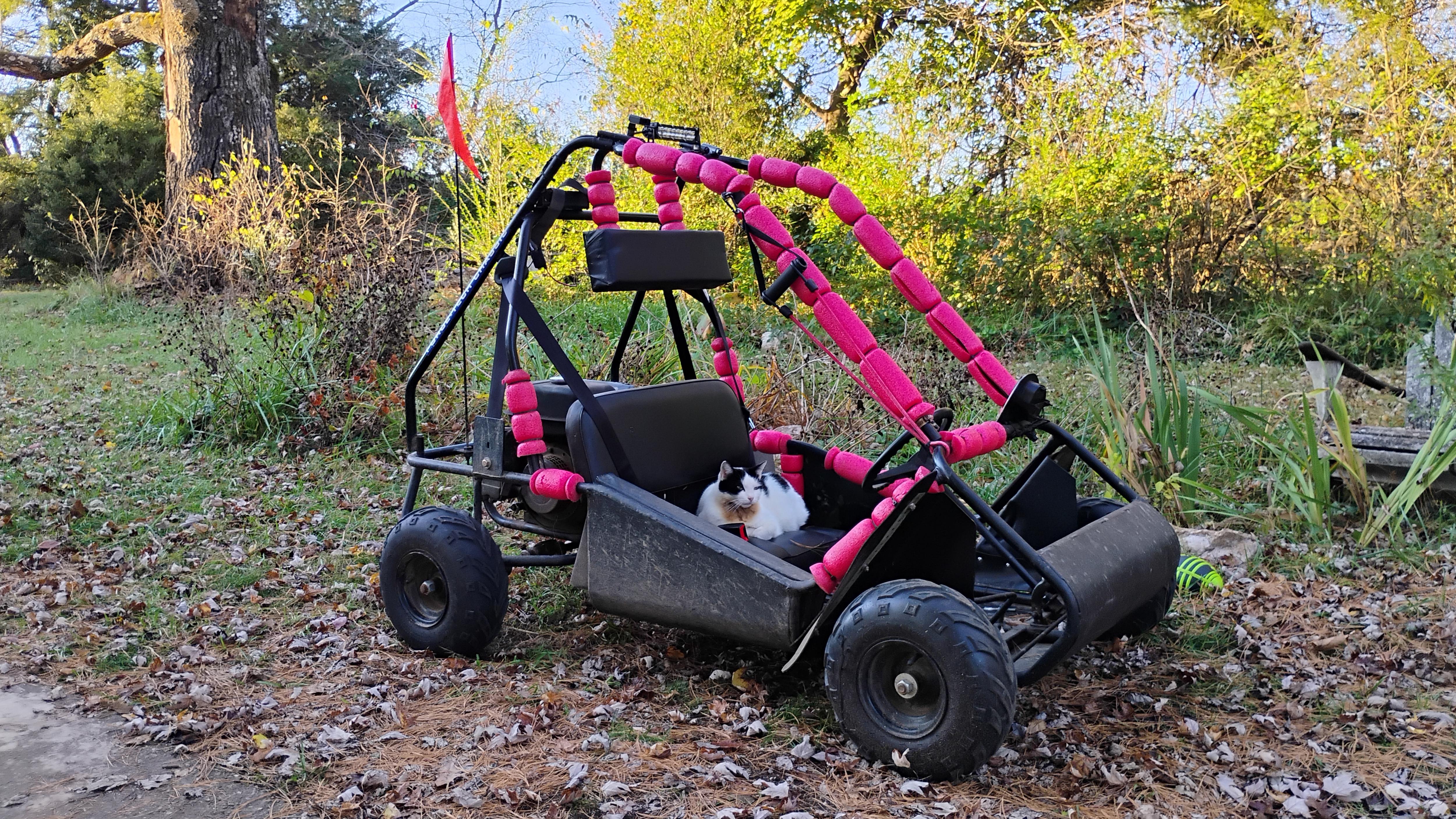 Wilson's Epic Yard Kart Adventure