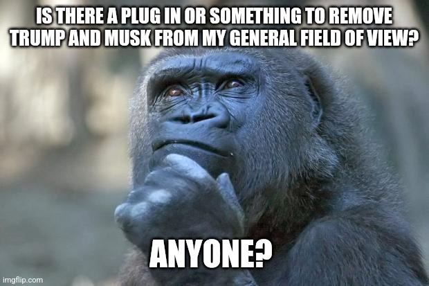 Just a quick thought...