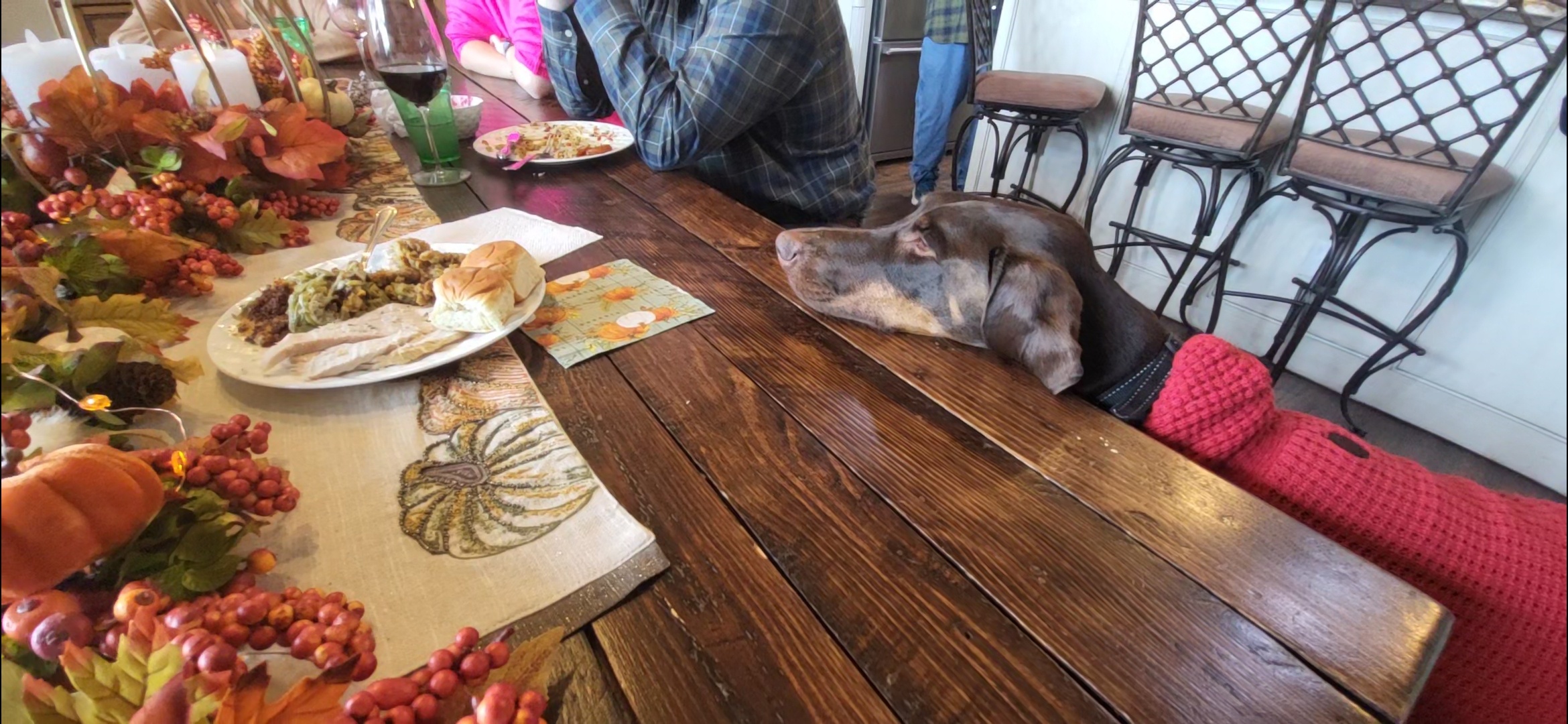 Arlo Has Chosen His Perfect Spot at the Table!