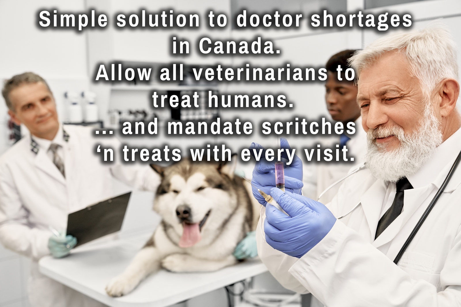Better Than a Trip to the ER for a Rabies Shot, I Guess