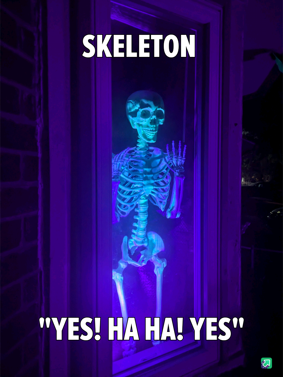 This Idea Came to Me While Setting Him Up