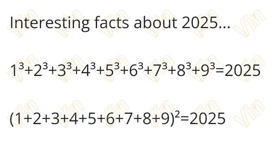 The Intriguing Concept of the Perfect Square