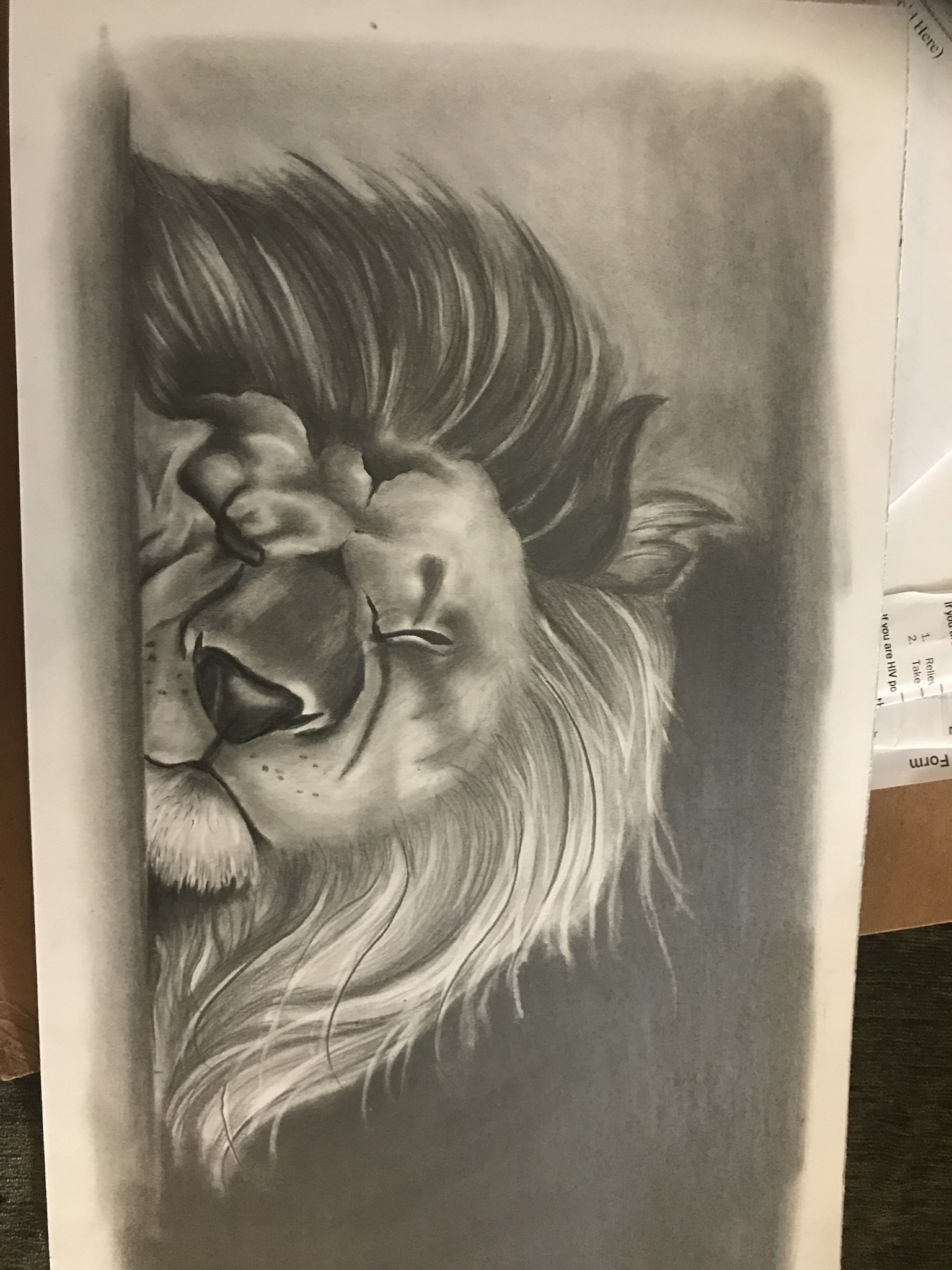 Simba!!! At Least That's How I Picture It