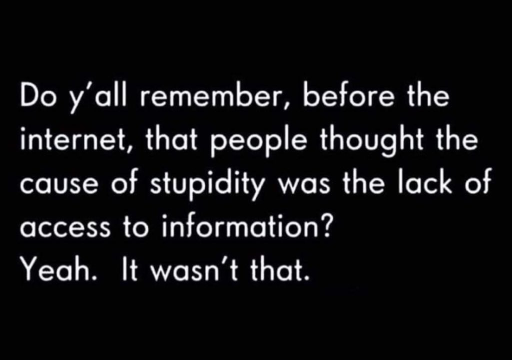 The Absurdity of Stupidity