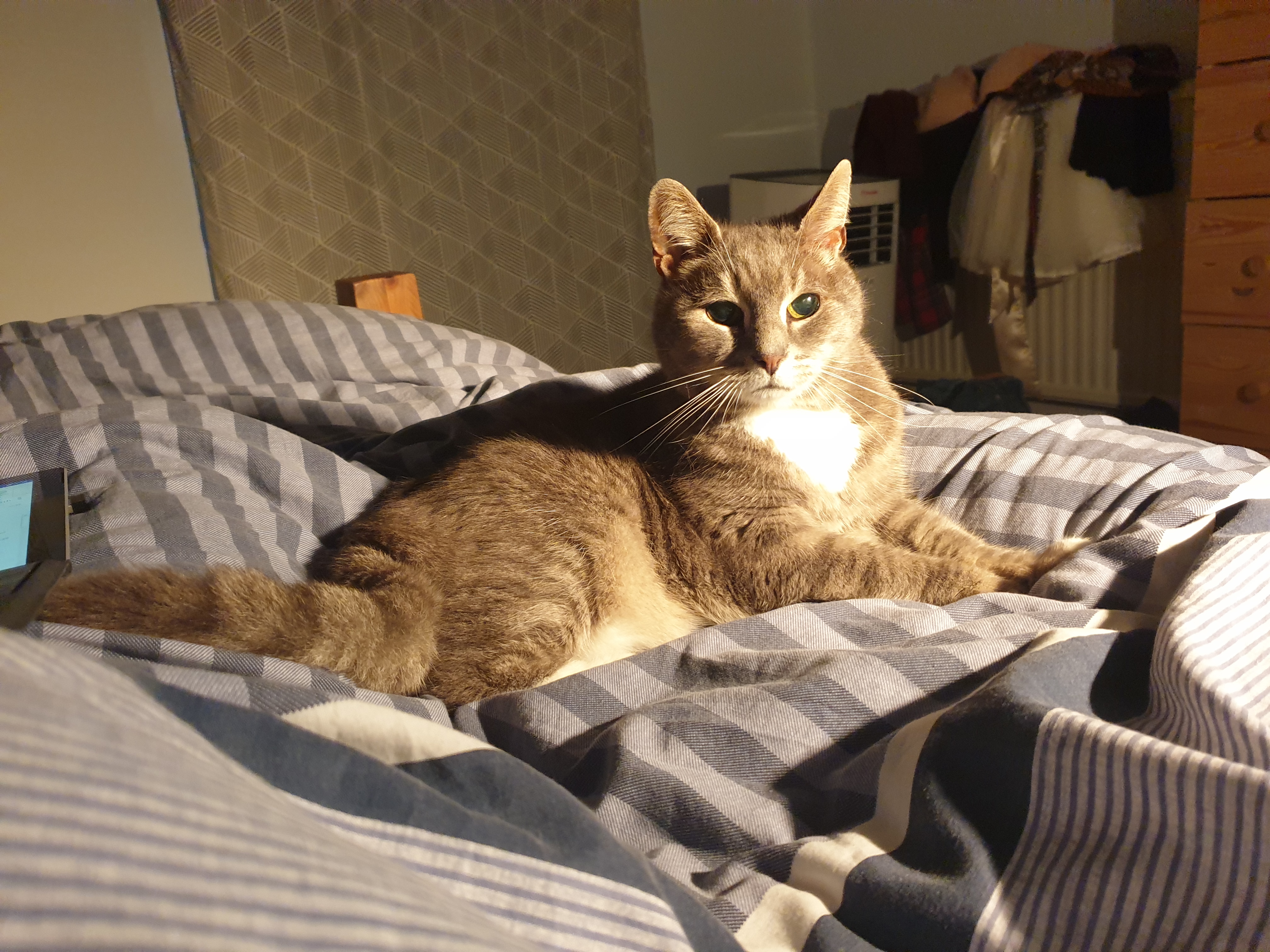 Wishing Sweet Dreams to the Old Man