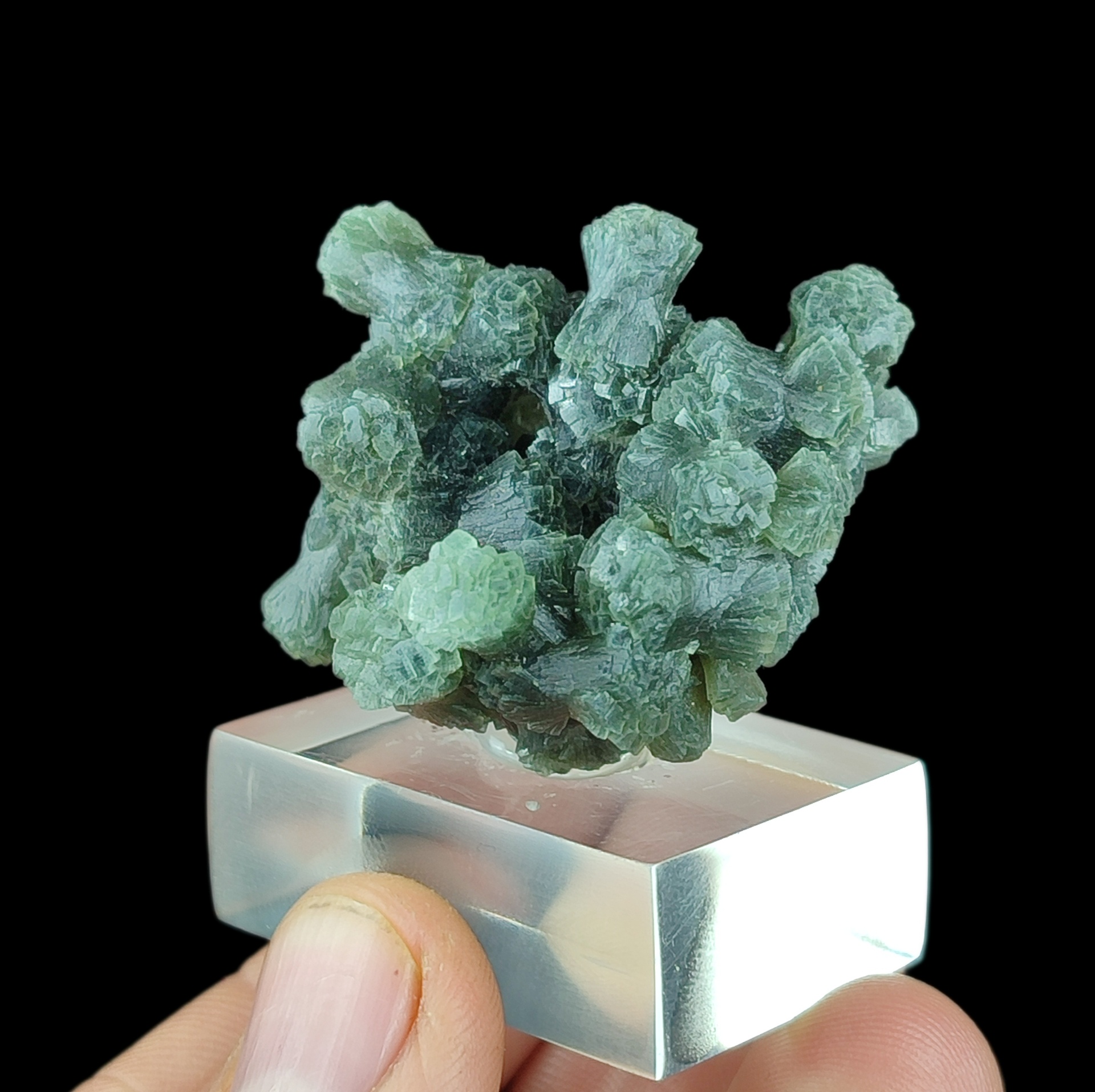 Behold the Rare Prehnite: Broccoli Shape from Morocco!